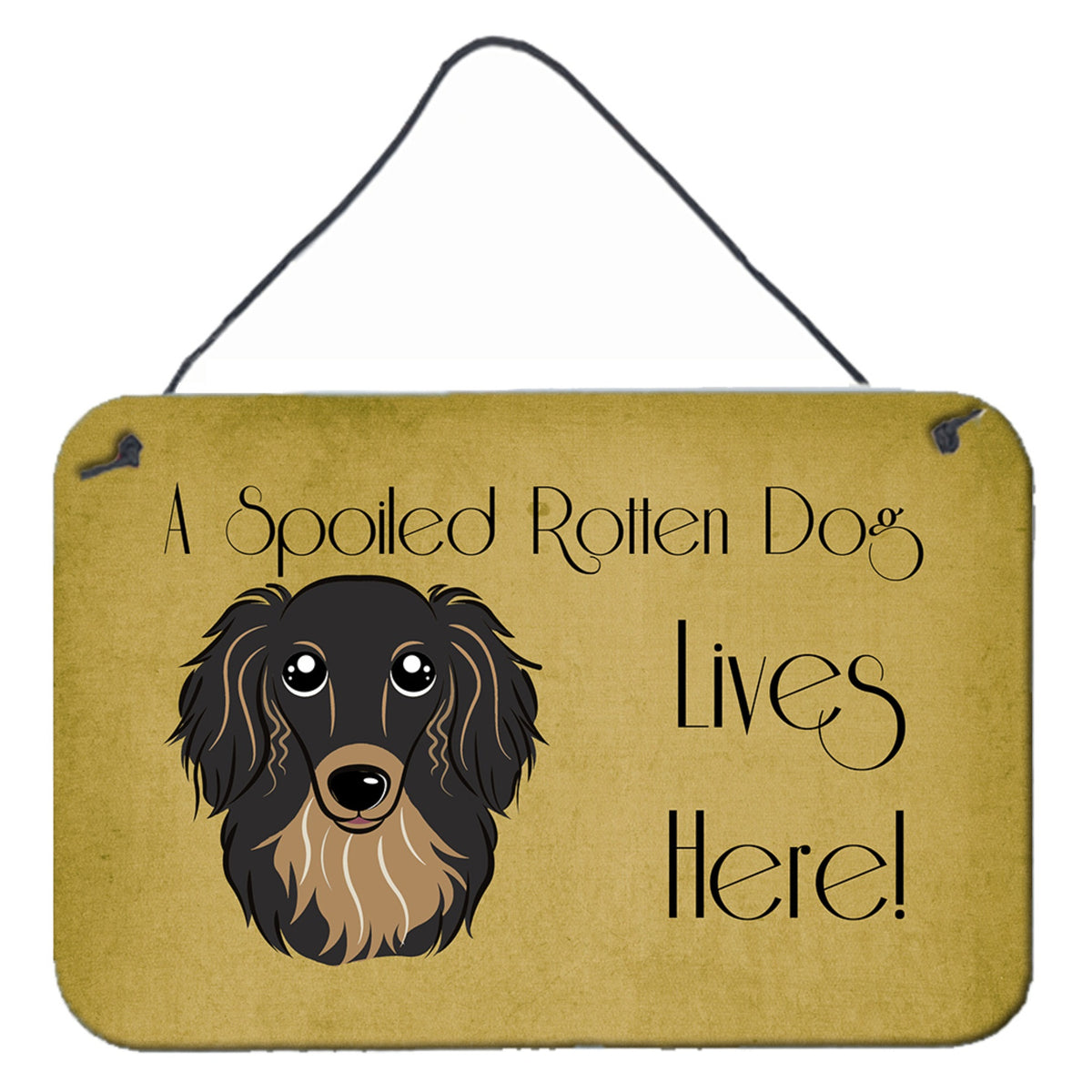 'Caroline'S Treasures Bb1461Ds812 Longhair Black And Tan Dachshund Spoiled Dog Lives Here Wall Or Door Hanging Prints, 8 X 12''