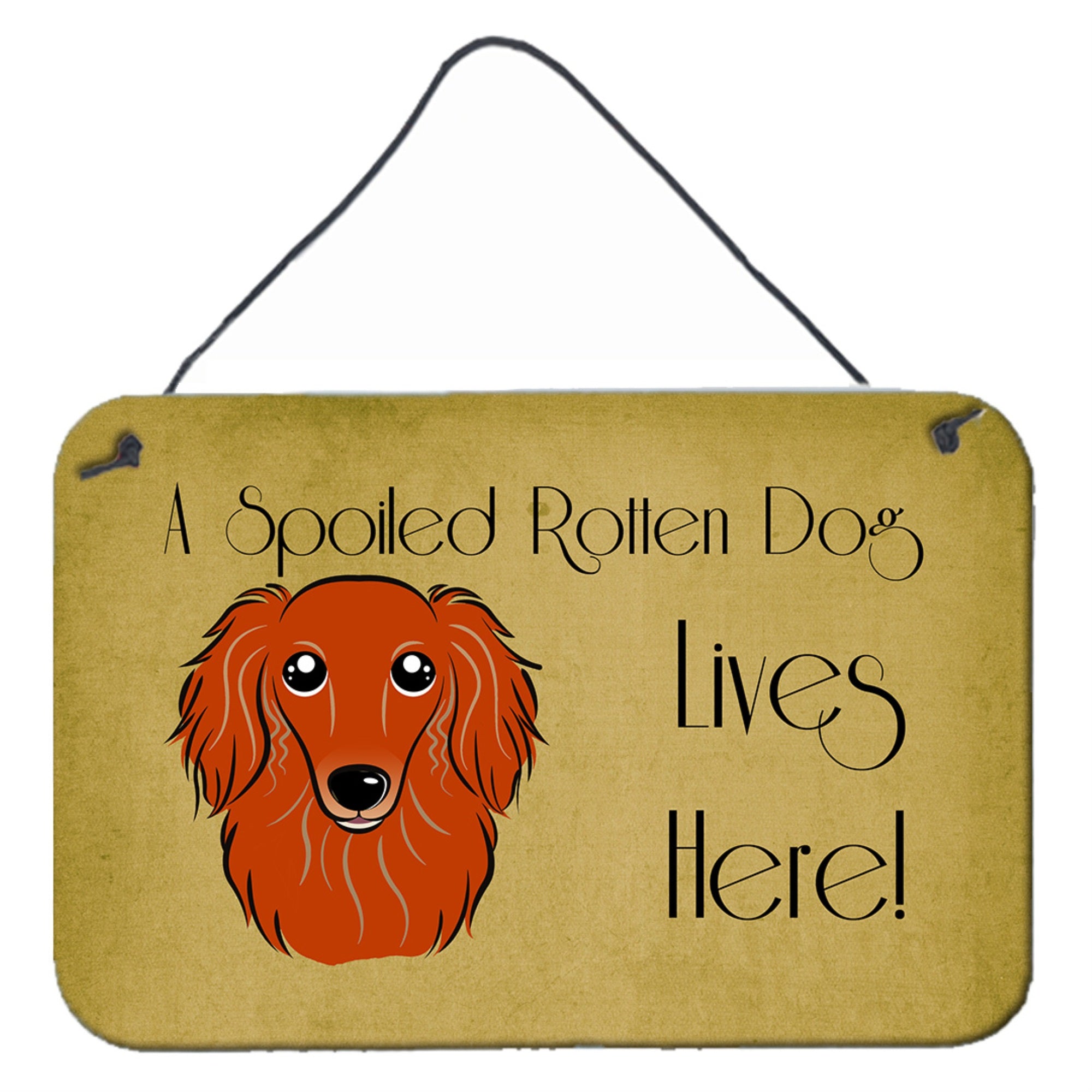 'Caroline'S Treasures Bb1462Ds812 Longhair Red Dachshund Spoiled Dog Lives Here Wall Or Door Hanging Prints, 8 X 12'''', Multic