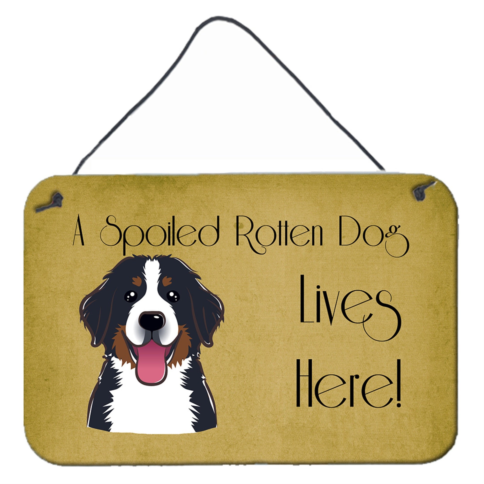 'Caroline'S Treasures Bb1485Ds812 Bernese Mountain Dog Spoiled Dog Lives Here Wall Or Door Hanging Prints, 8 X 12'''', Multicol