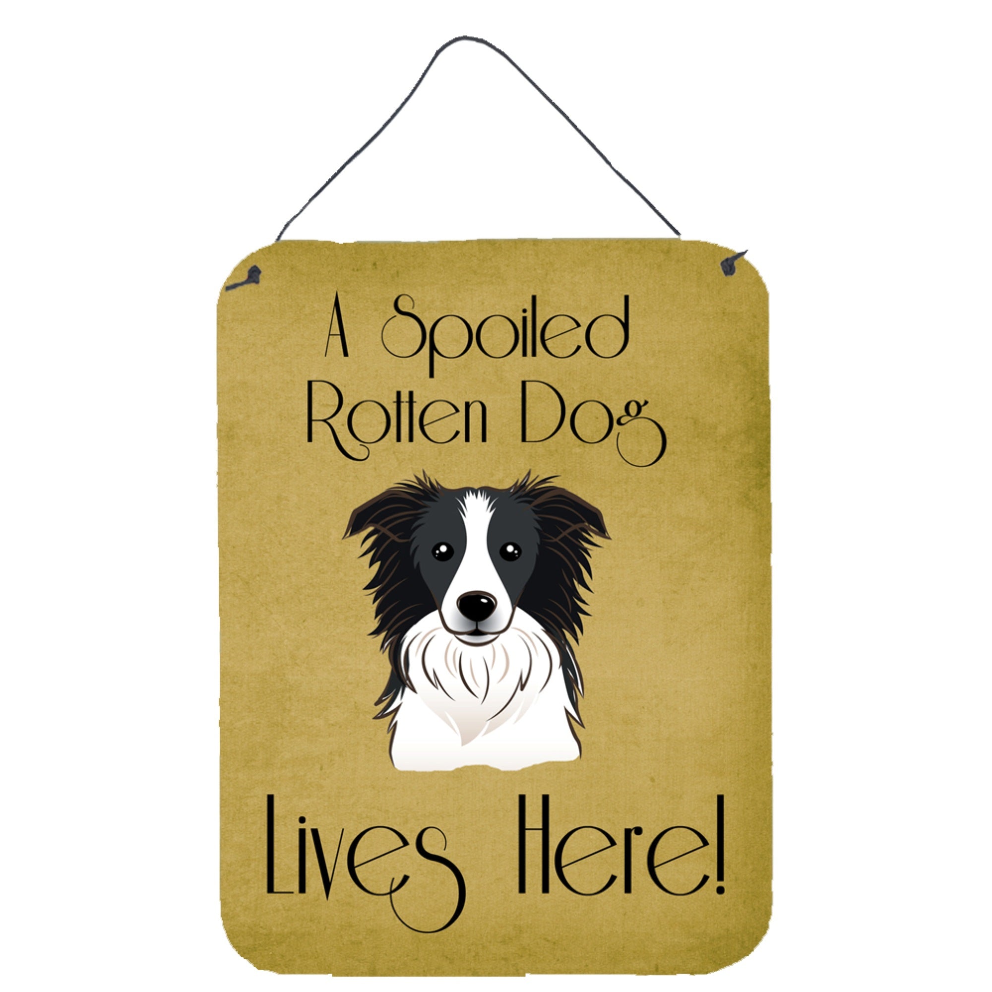 'Caroline'S Treasures Bb1489Ds1216 Border Collie Spoiled Dog Lives Here Wall Or Door Hanging Prints, 16 X 12'''', Multicolor''
