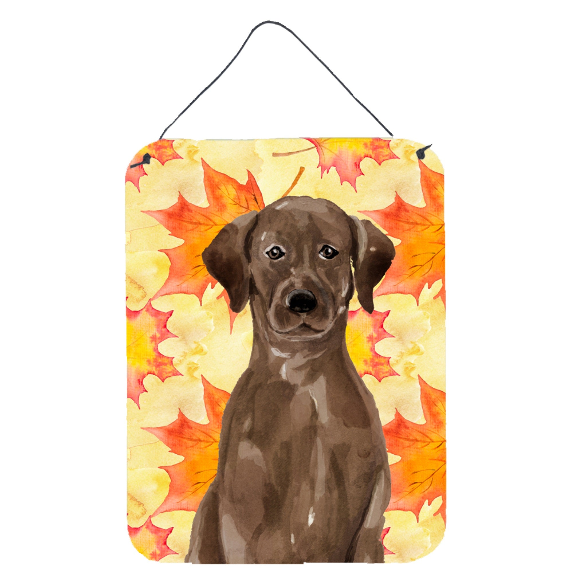 'Caroline'S Treasures Chocolate Labrador Fall Metal Print, 16'''' X 12'''', Multicolor''
