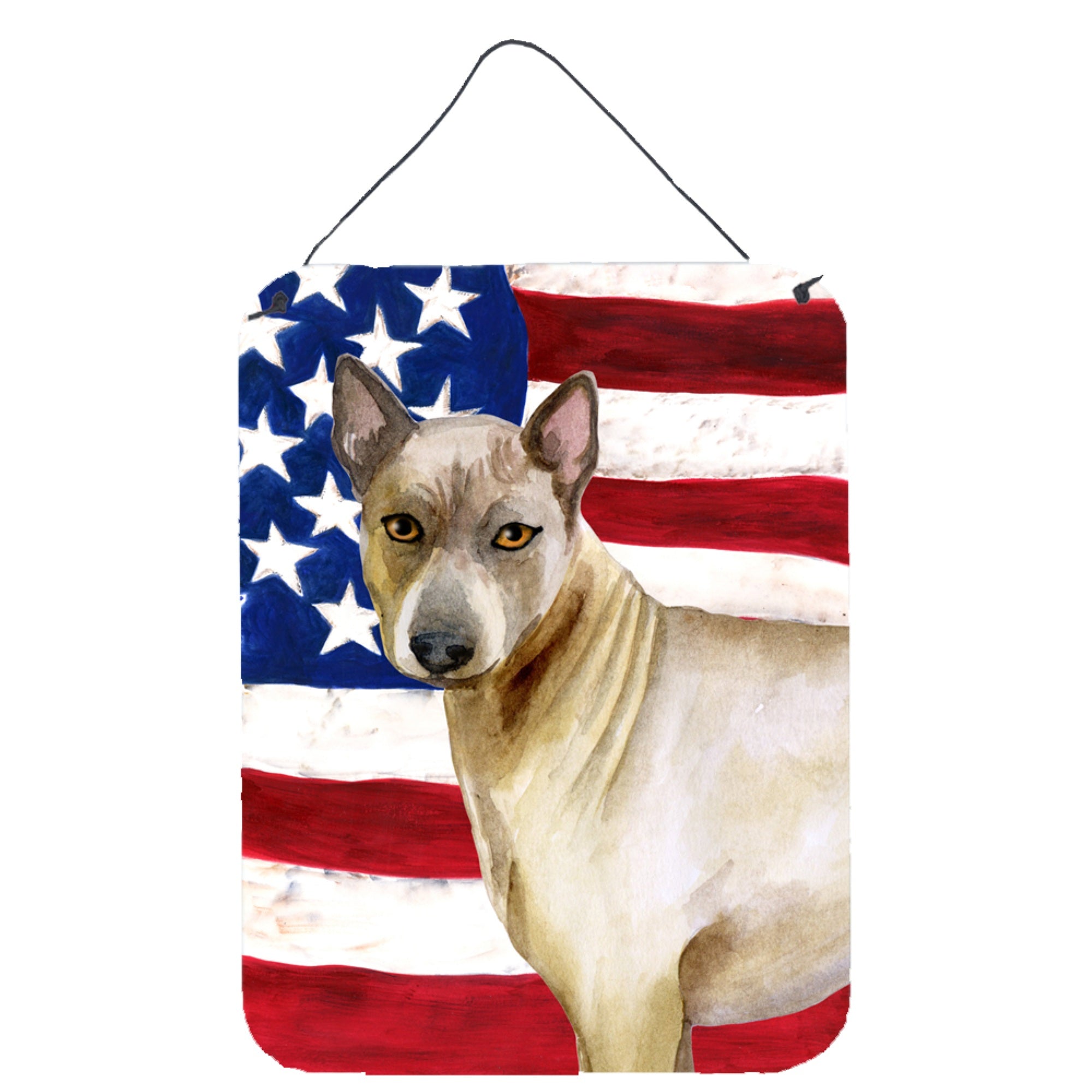 'Caroline'S Treasures Thai Ridgeback Patriotic Metal Print, 16'''' X 12'''', Multicolor''