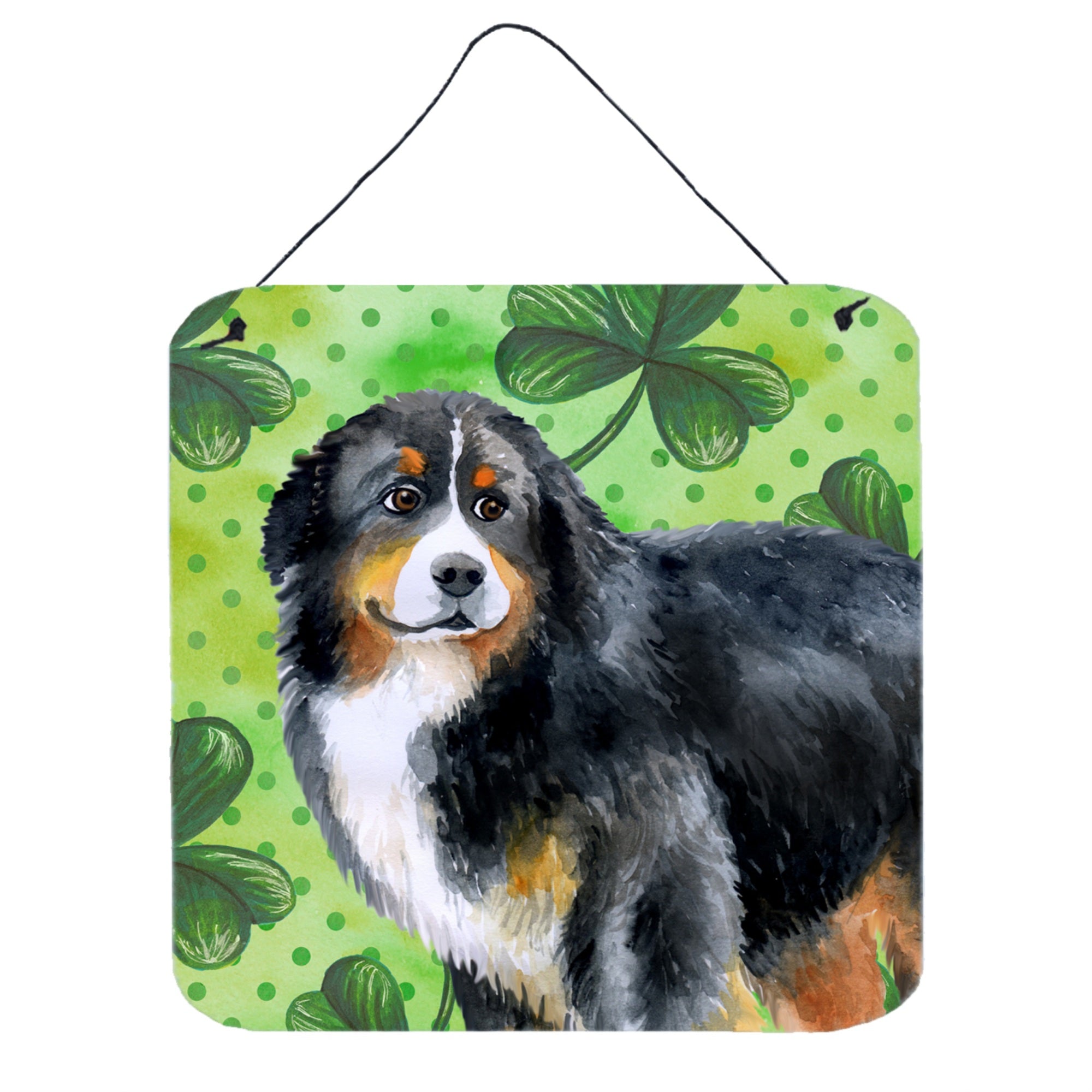 'Caroline'S Treasures Bernese Mountain Dog Metal Print, 6H X 6W, St Patrick'S Day''