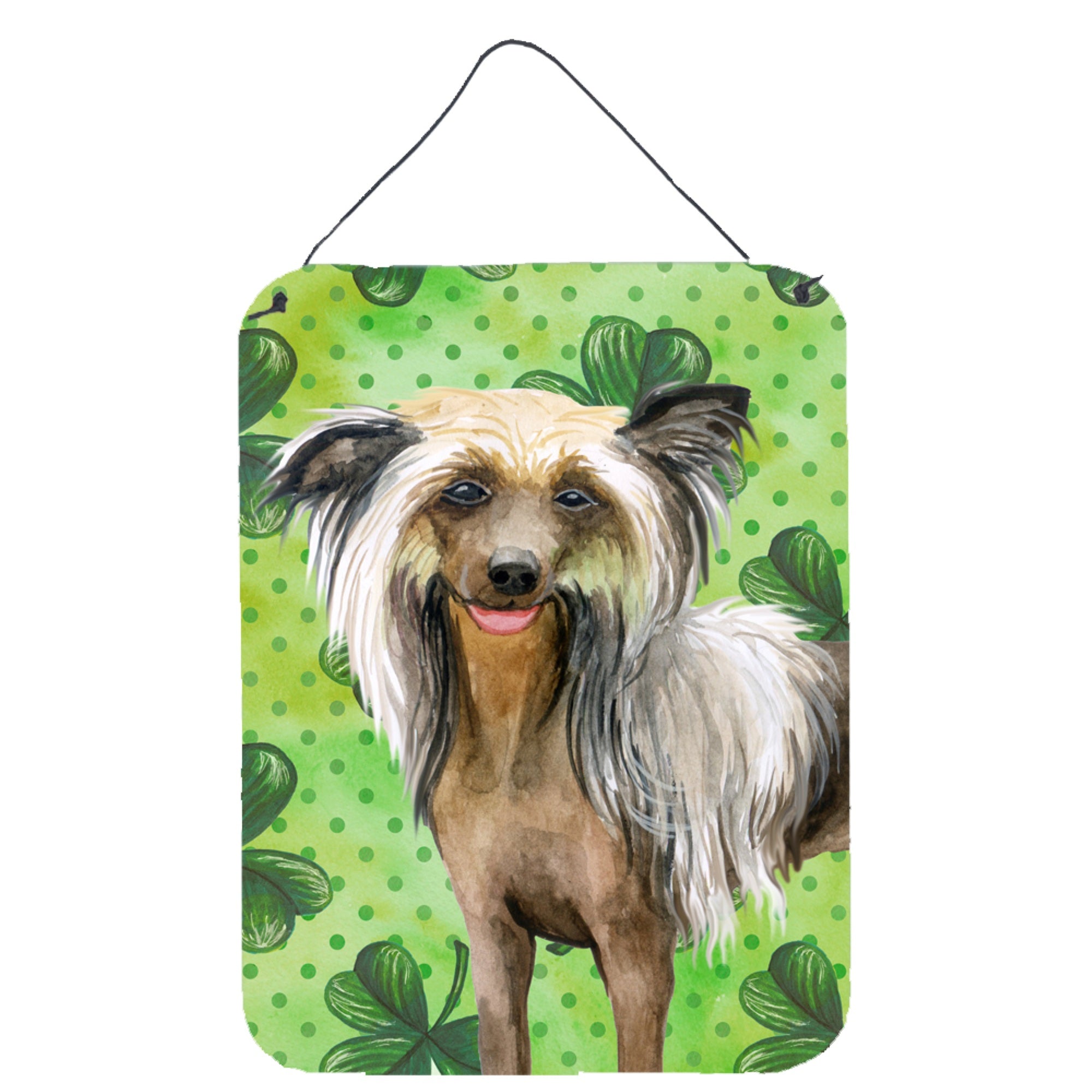 'Caroline'S Treasures Chinese Crested St Patrick'S Metal Print, 16'''' X 12'''', Multicolor''