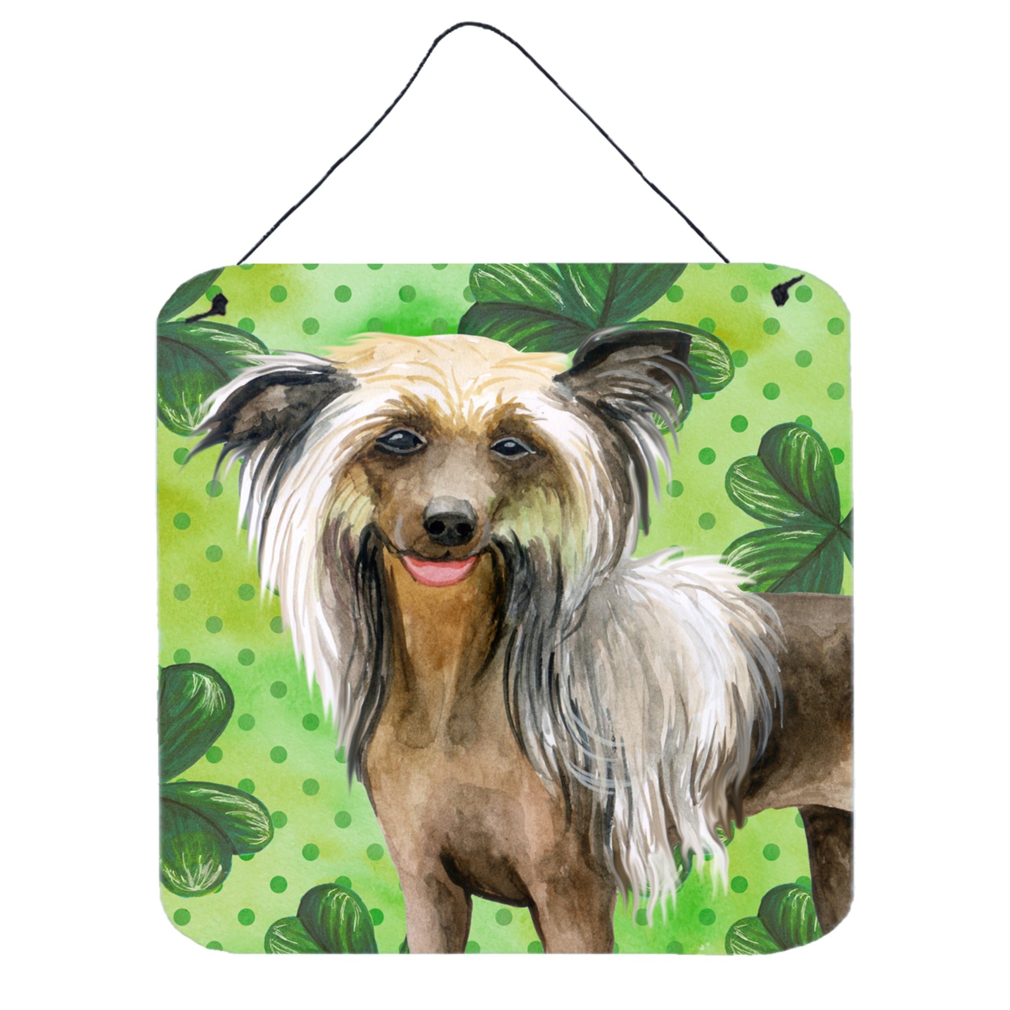 'Caroline'S Treasures Chinese Crested Metal Print, 6H X 6W, St Patrick'S Day''