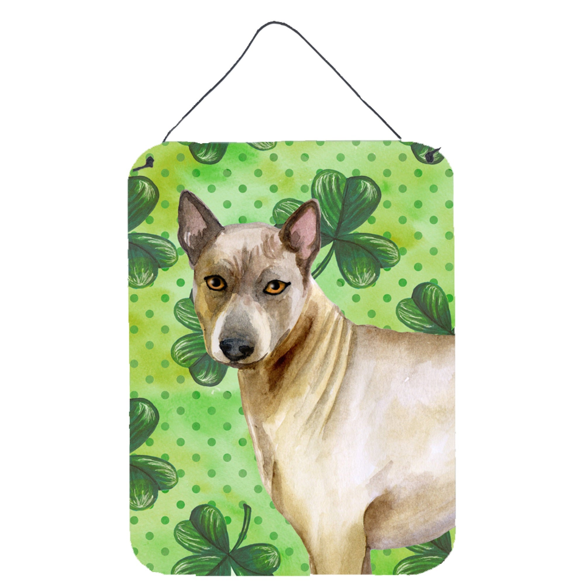 'Caroline'S Treasures Thai Ridgeback St Patrick'S Metal Print, 16'''' X 12'''', Multicolor''