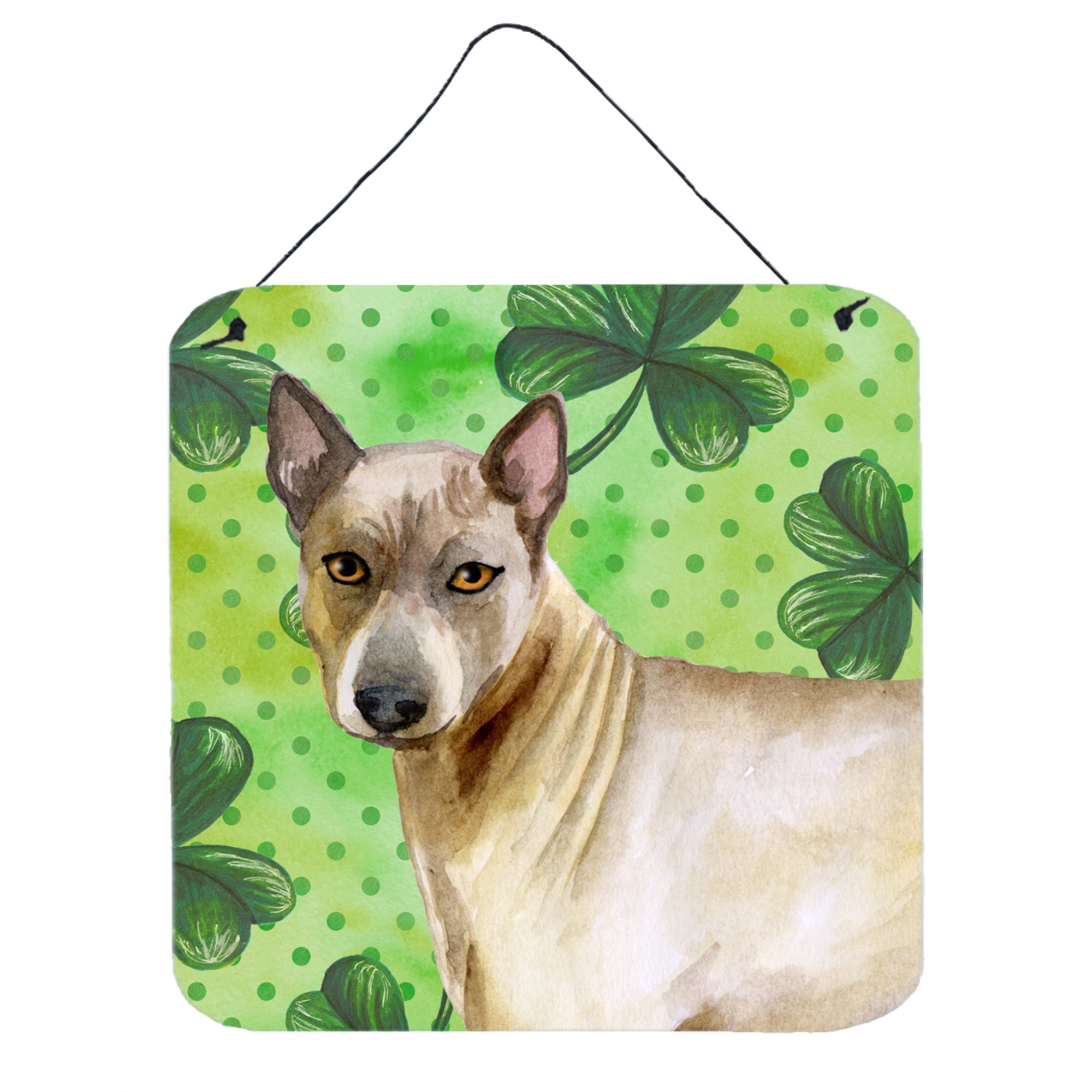 'Caroline'S Treasures Thai Ridgeback Metal Print, 6H X 6W, St Patrick'S Day''
