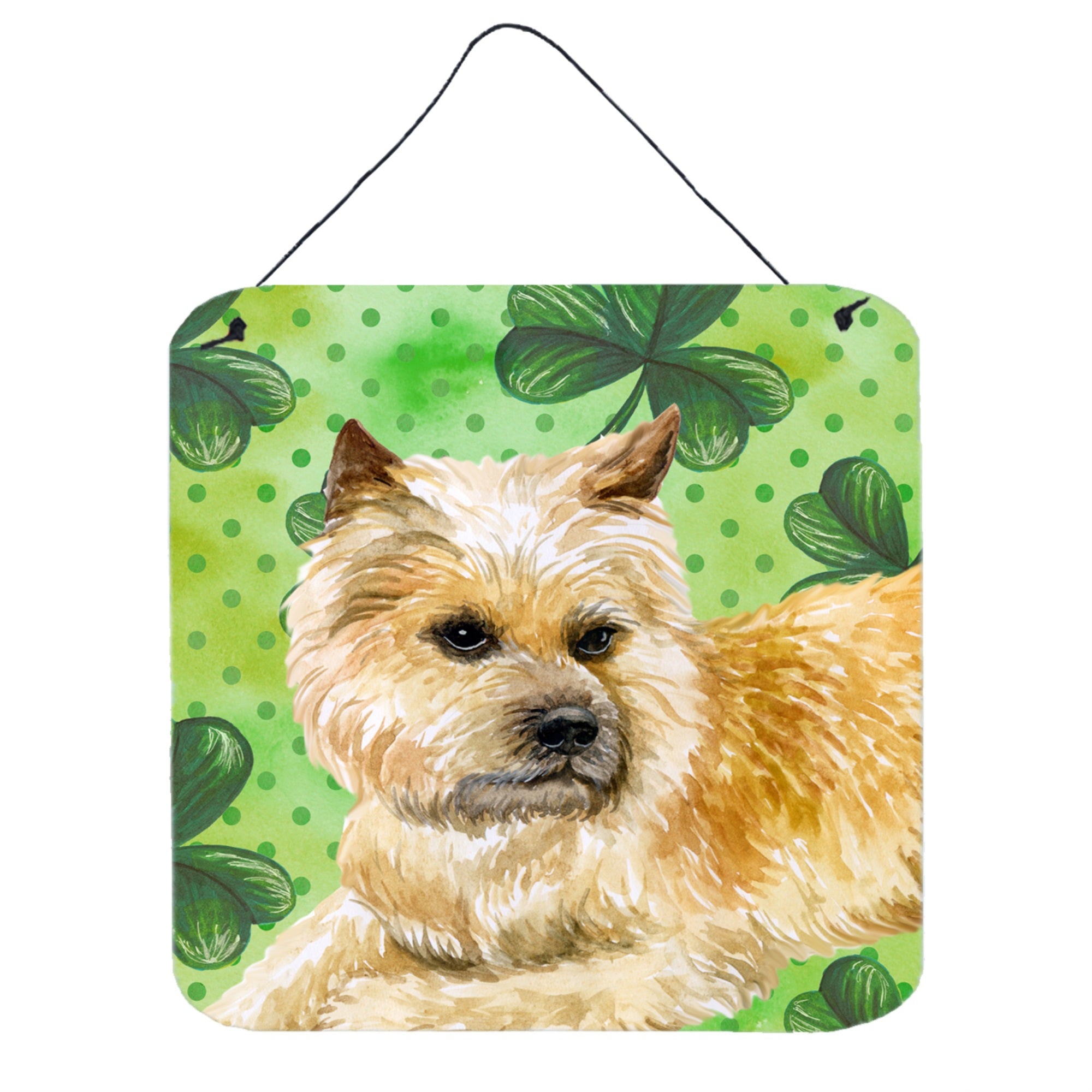 'Caroline'S Treasures Cairn Terrier Metal Print, 6H X 6W, St Patrick'S Day''