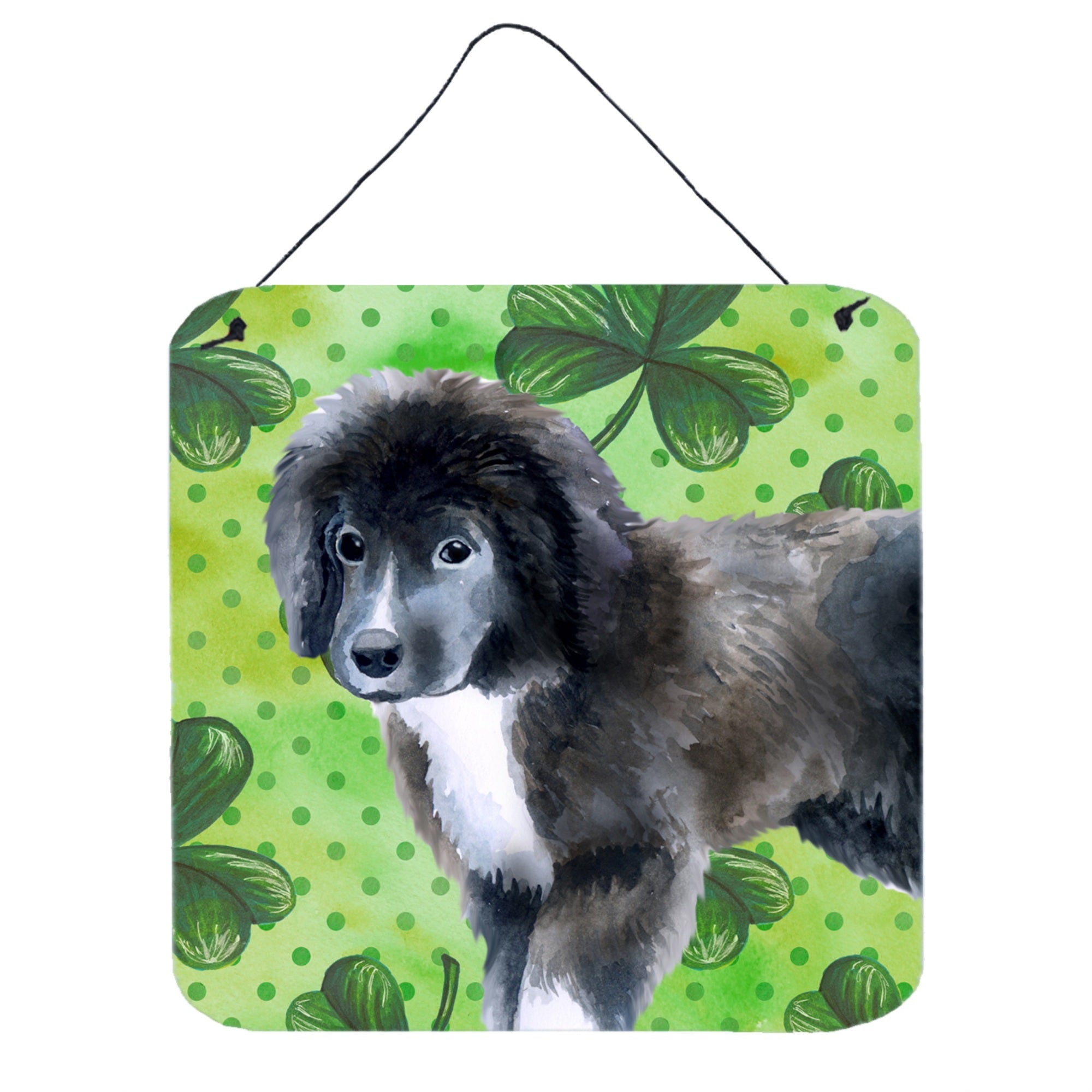 'Caroline'S Treasures Newfoundland Puppy Metal Print, 6H X 6W, St Patrick'S Day''
