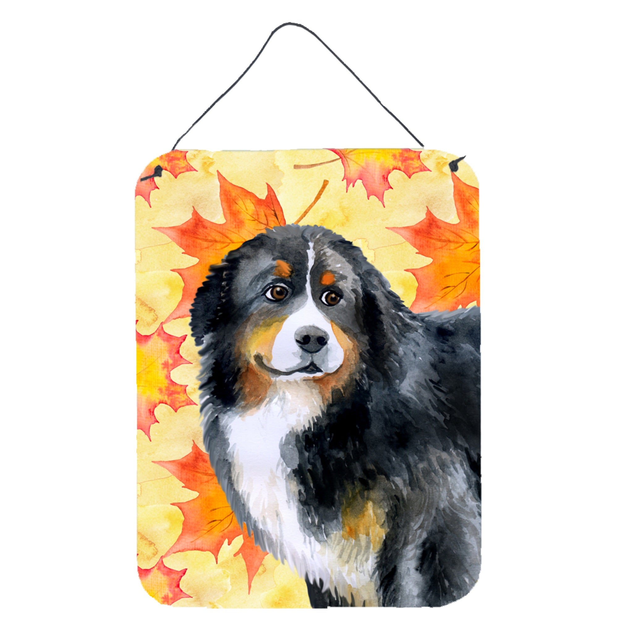 'Caroline'S Treasures Bernese Mountain Dog Fall Metal Print, 16'''' X 12'''', Multicolor''