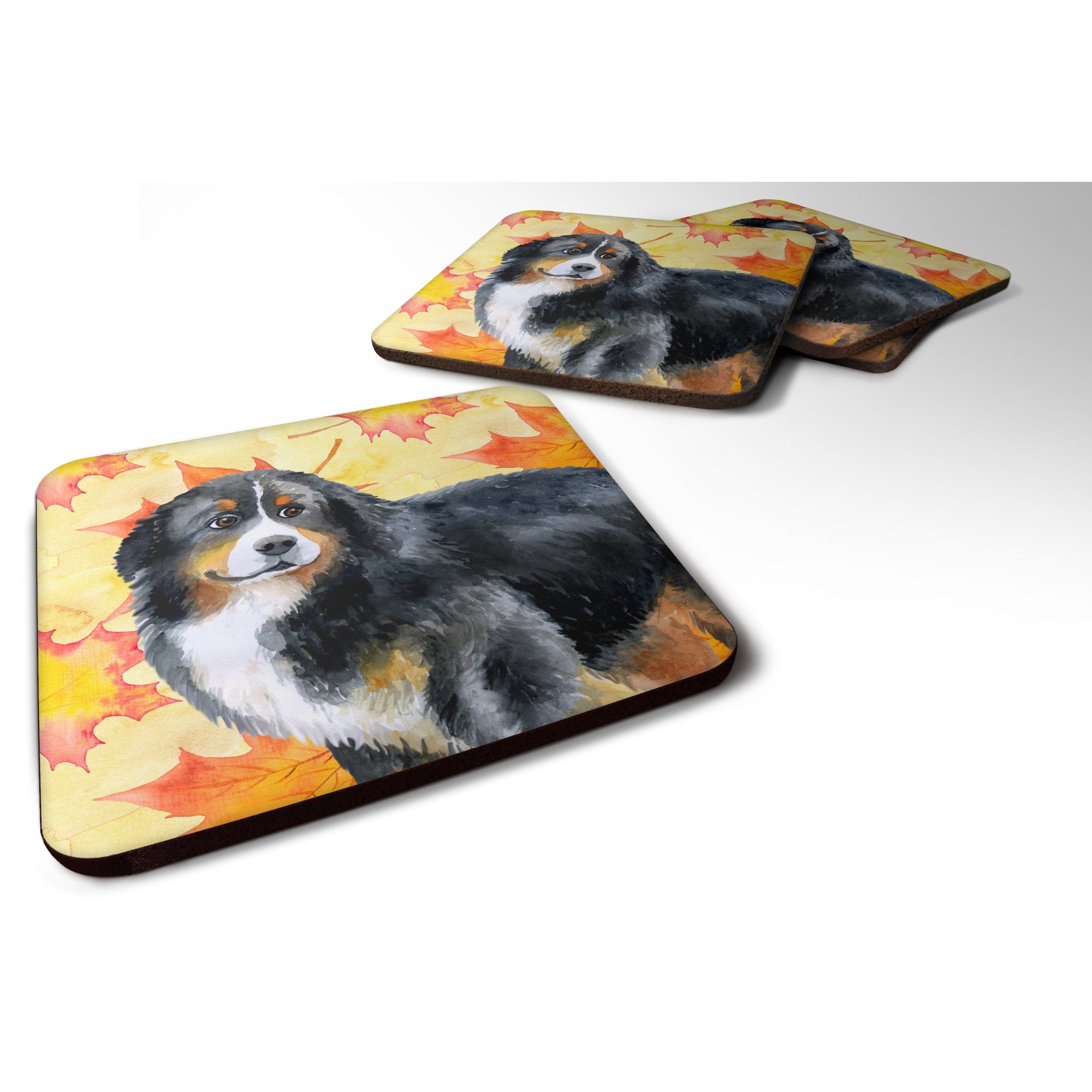 'Caroline'S Treasures Bernese Mountain Dog Fall Decorative Coasters, Multicolor''