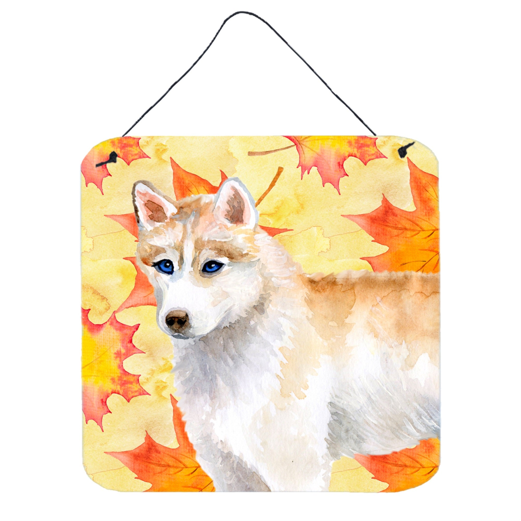 'Caroline'S Treasures Siberian Husky Metal Print, 6H X 6W, Fall Leaves''