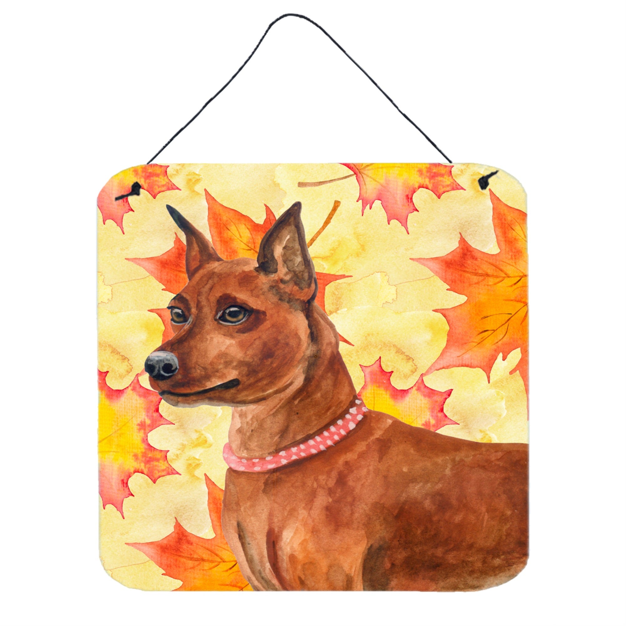 'Caroline'S Treasures Miniature Pinscher Metal Print, 6H X 6W, Fall Leaves''