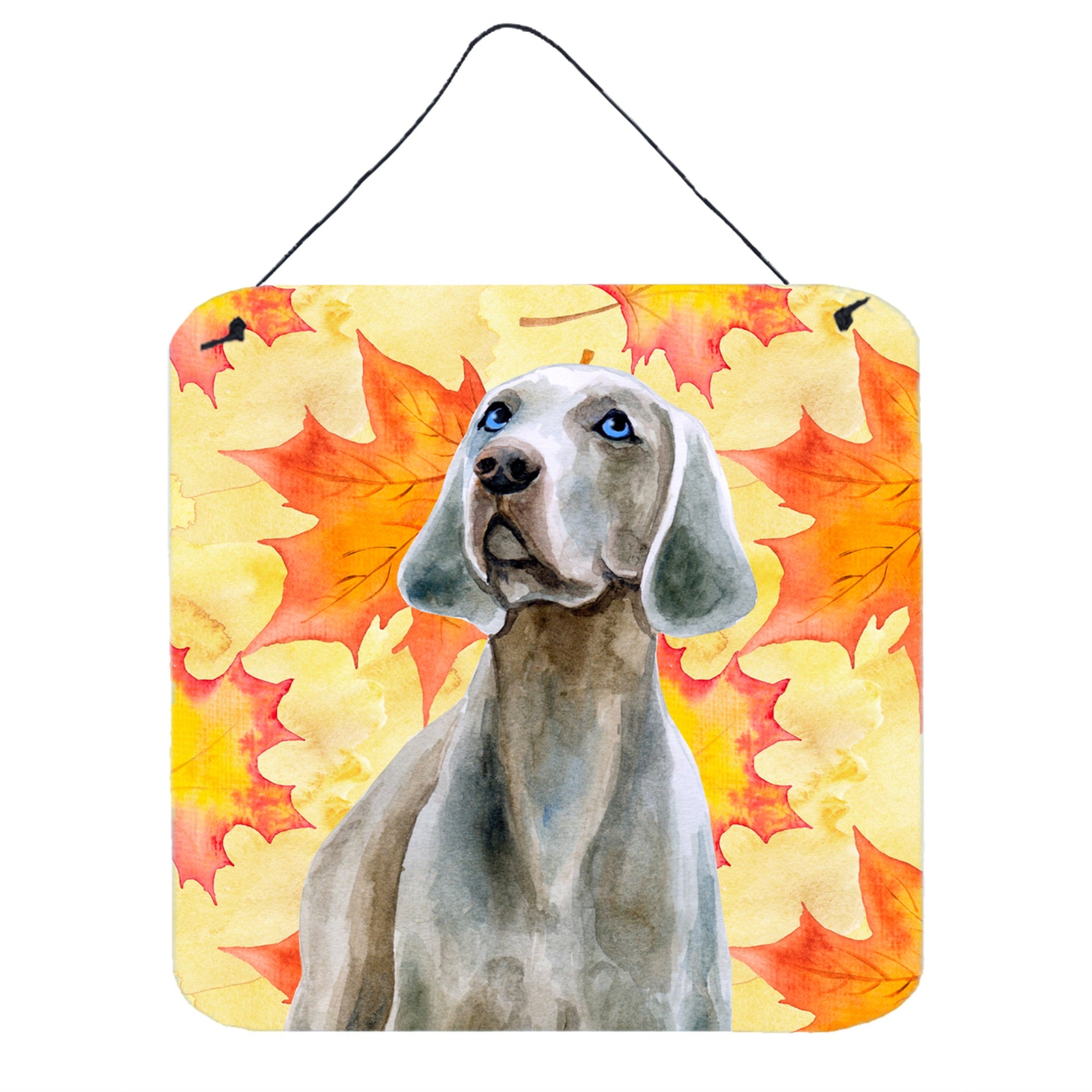 'Caroline'S Treasures Weimaraner Metal Print, 6H X 6W, Fall Leaves''