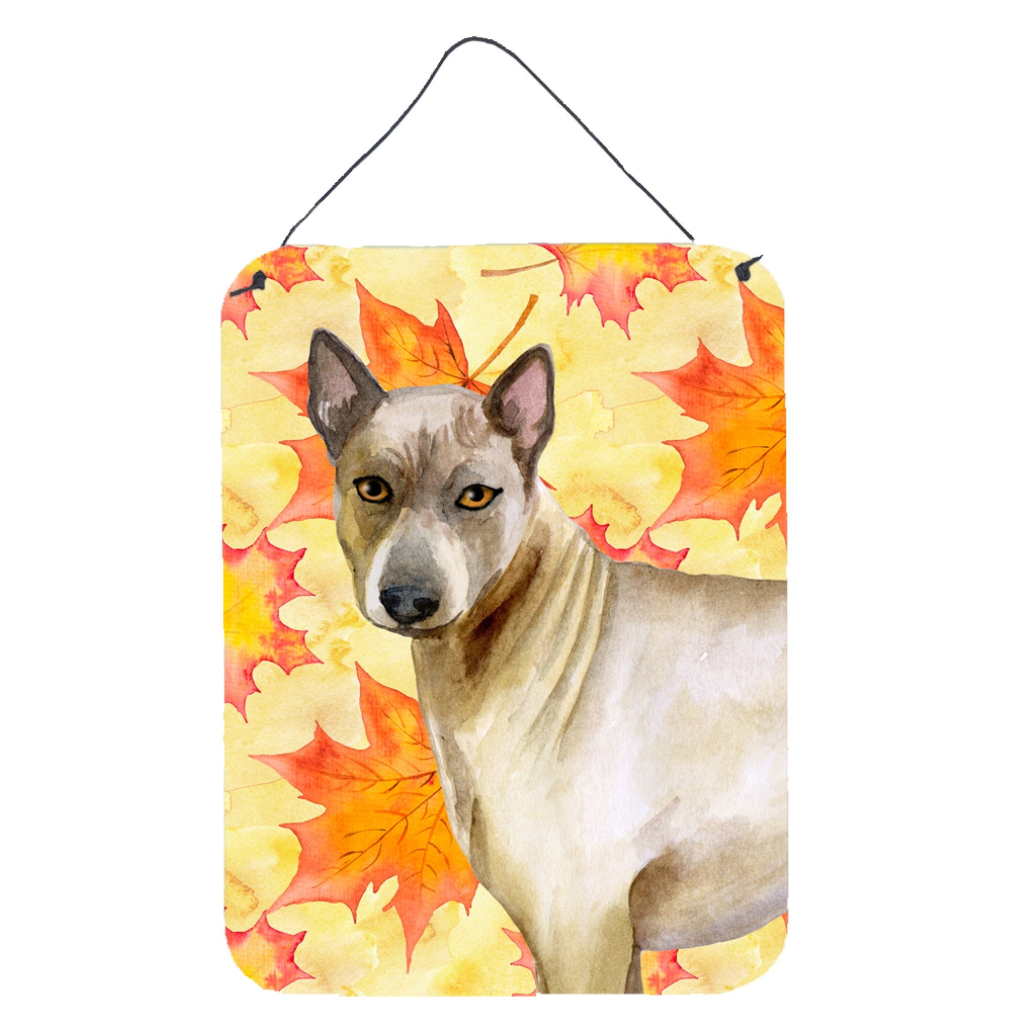 'Caroline'S Treasures Thai Ridgeback Fall Metal Print, 16'''' X 12'''', Multicolor''