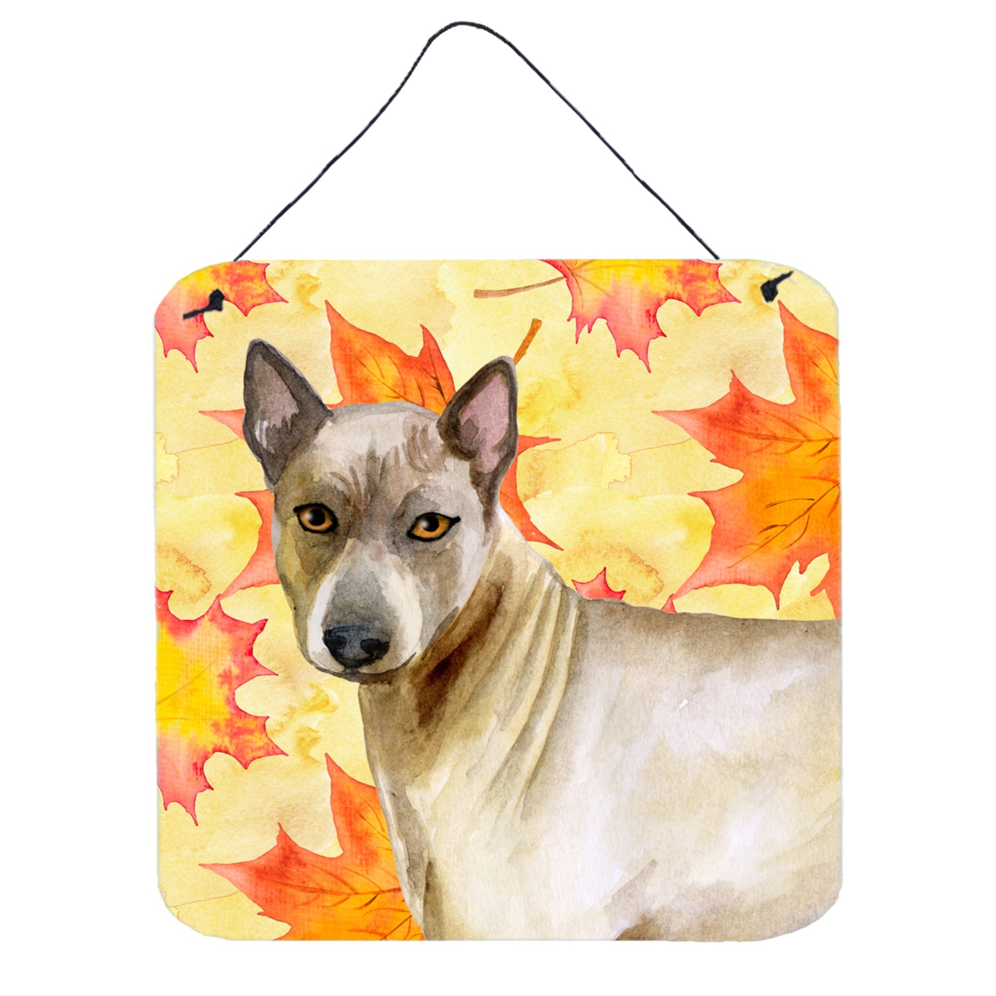 'Caroline'S Treasures Thai Ridgeback Metal Print, 6H X 6W, Fall Leaves''