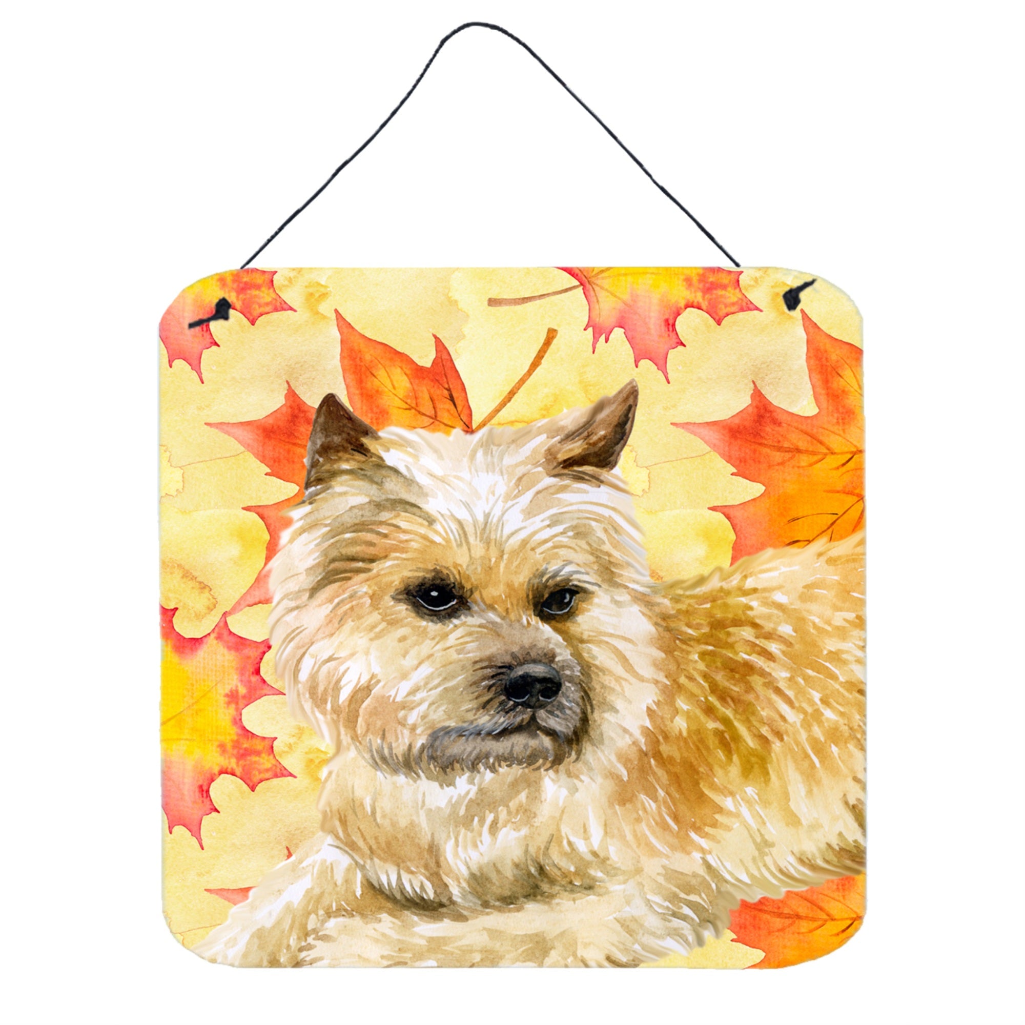 'Caroline'S Treasures Cairn Terrier Metal Print, 6H X 6W, Fall Leaves''
