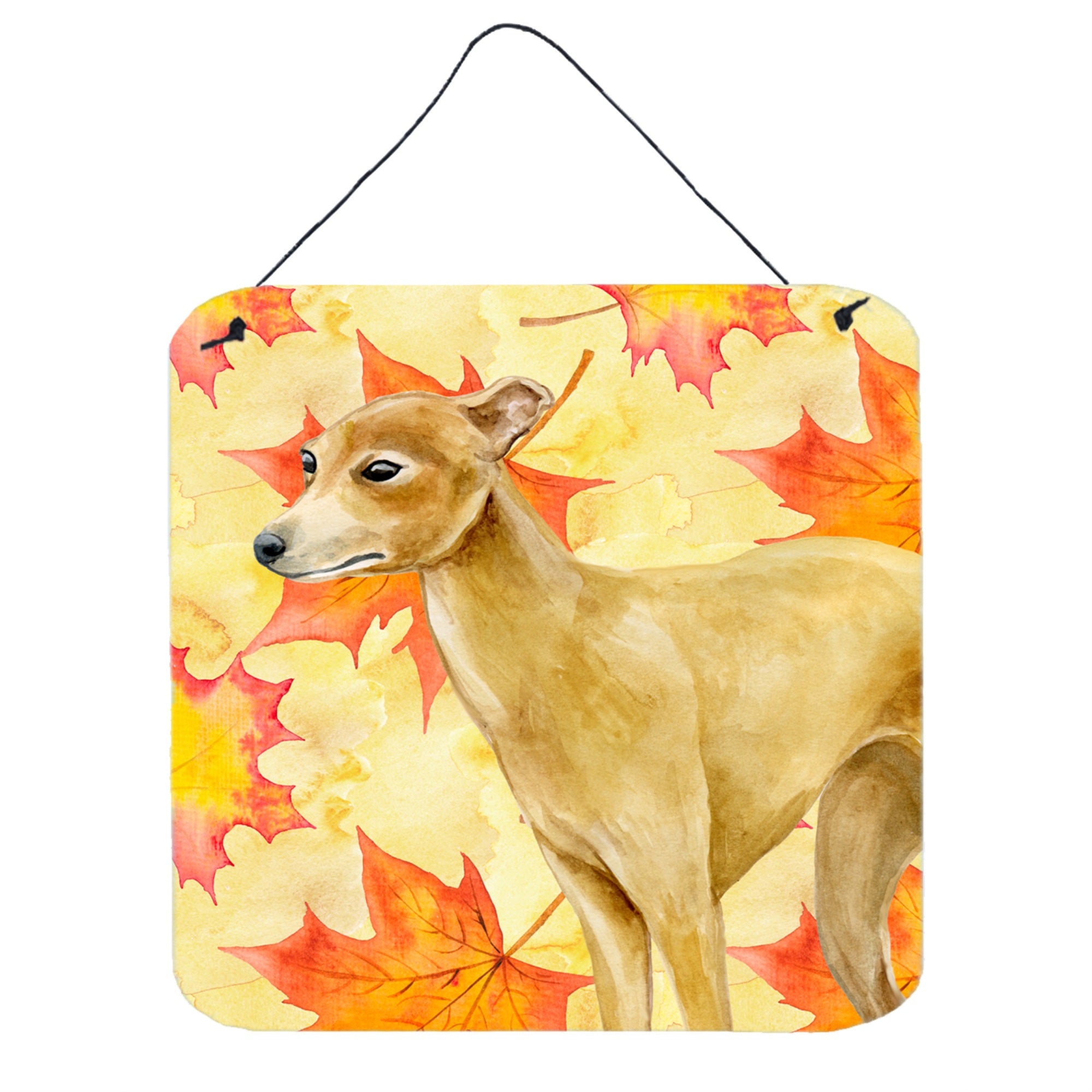 'Caroline'S Treasures Italian Greyhound Metal Print, 6H X 6W, Fall Leaves''