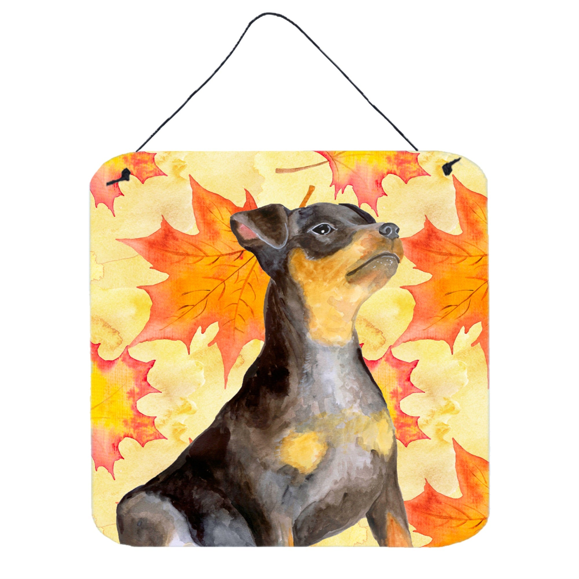 'Caroline'S Treasures Miniature Pinscher #2 Metal Print, 6H X 6W, Fall Leaves''