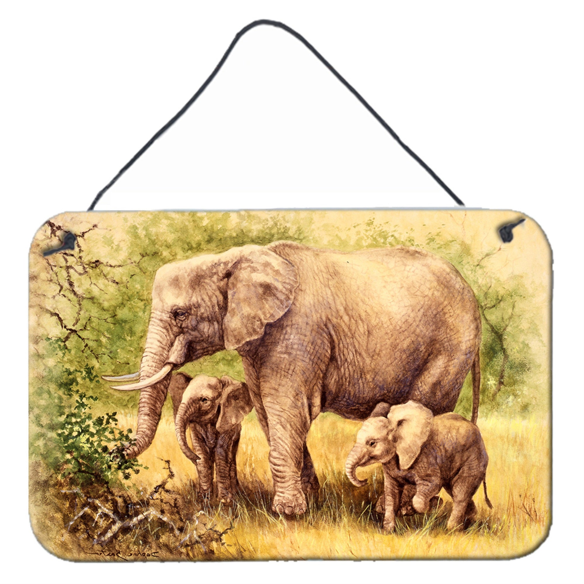 'Caroline'S Treasures Elephants By Daphne Baxter Wall Or Door Hanging Prints Bdba0112Ds812, 8Hx12W, Multicolor''