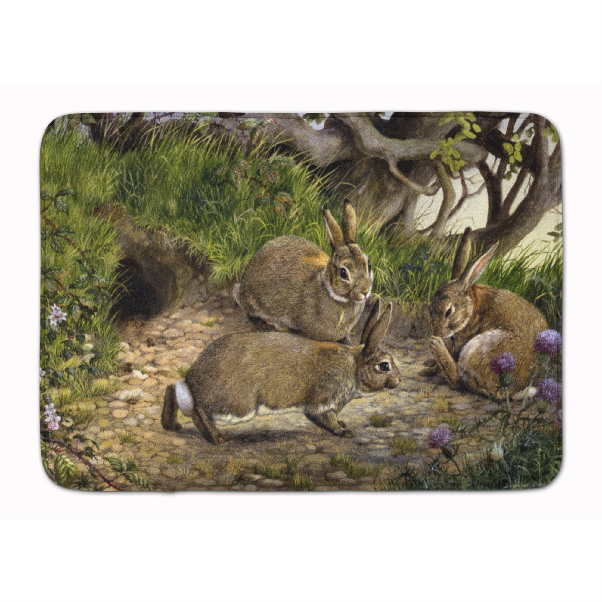 'Caroline'S Treasures Rabbit Hole Floor Mat, 19'''' X 27'''', Multicolor''