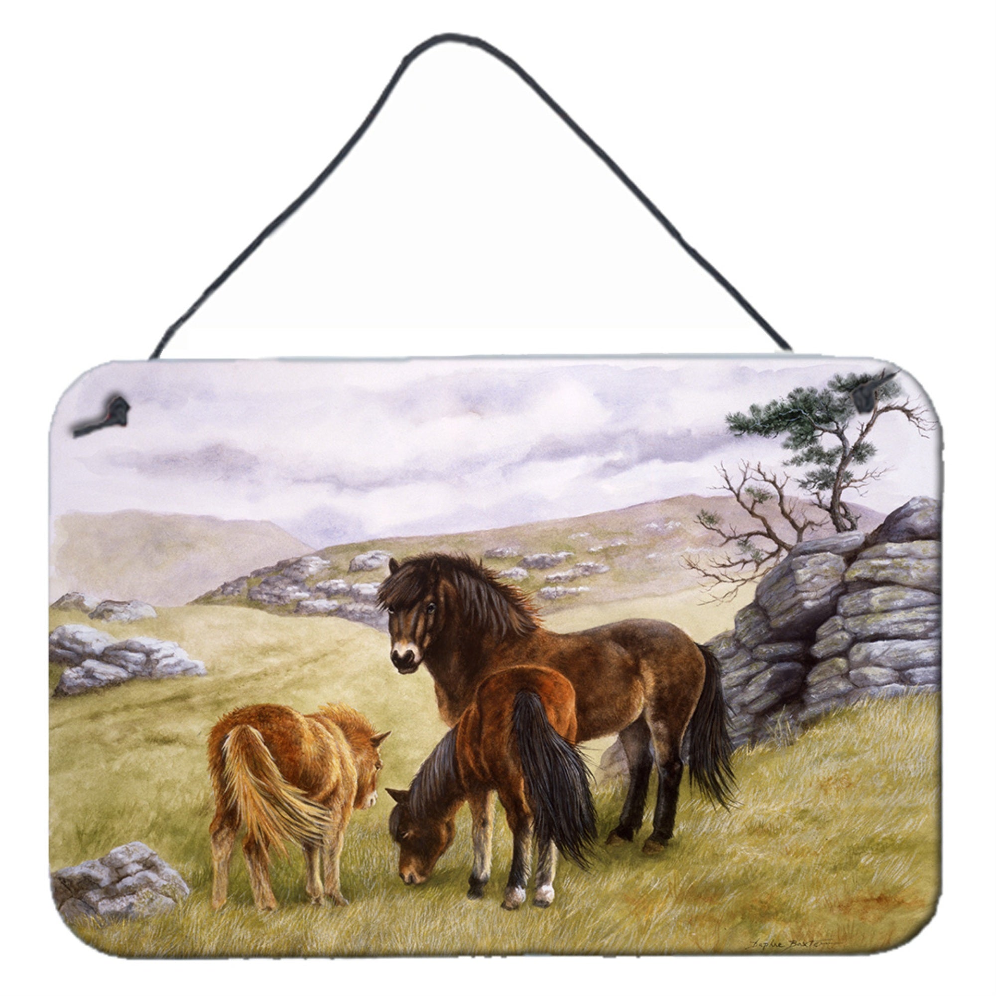 'Caroline'S Treasures Horses In The Meadow Wall Or Door Hanging Prints Bdba0189Ds812, 8Hx12W, Multicolor''