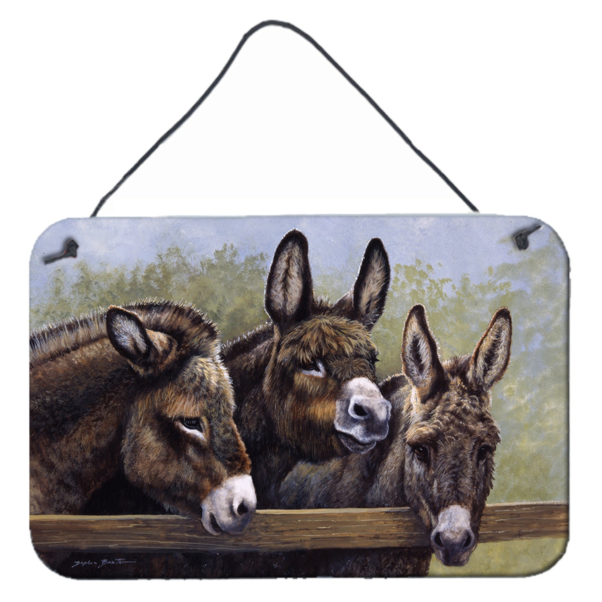'Caroline'S Treasures Donkeys By Daphne Baxter Wall Or Door Hanging Prints Bdba0235Ds812, 8Hx12W''
