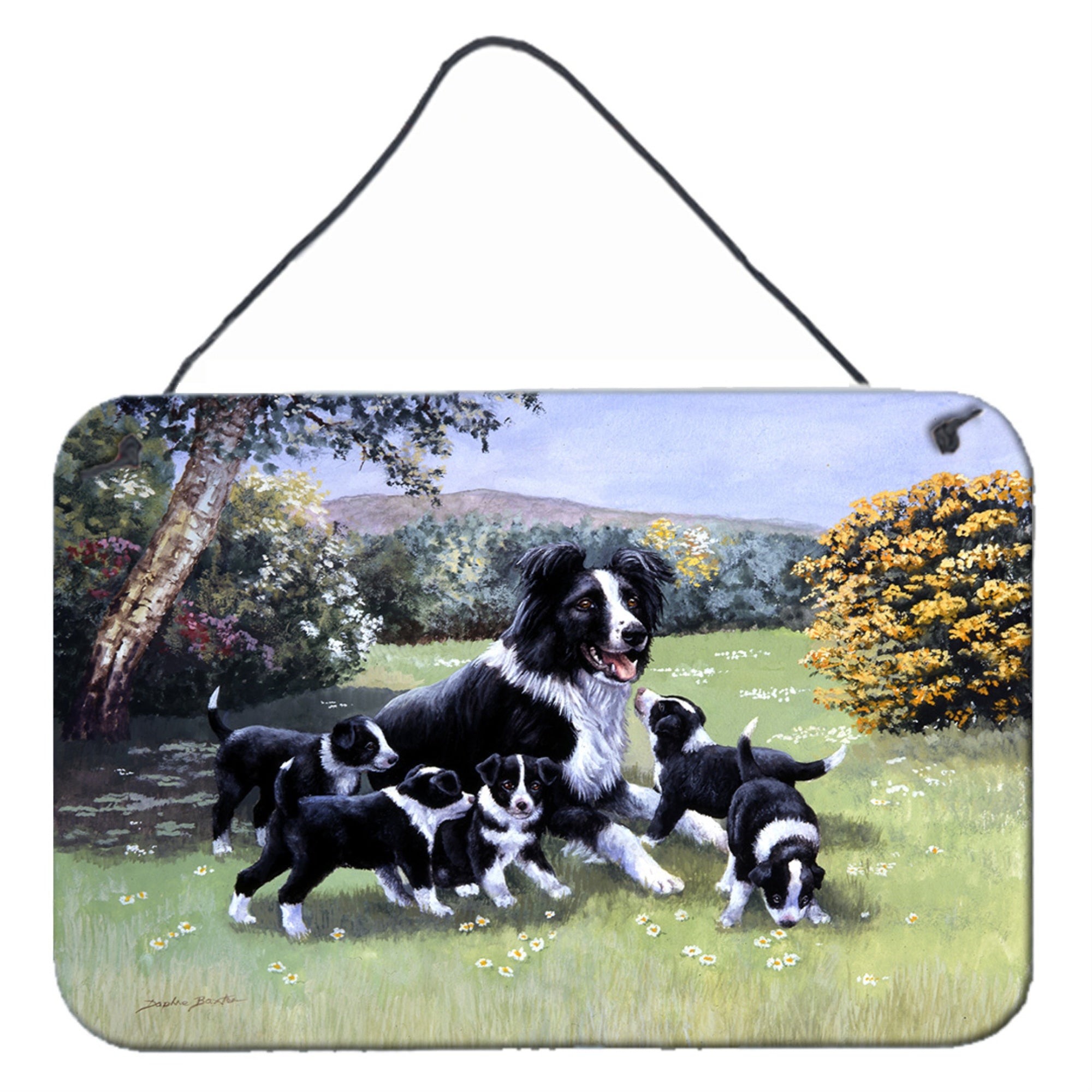 'Caroline'S Treasures Border Collie Puppies With Momma Wall Or Door Hanging Prints Bdba0257Ds812, 8Hx12W, Multicolor''