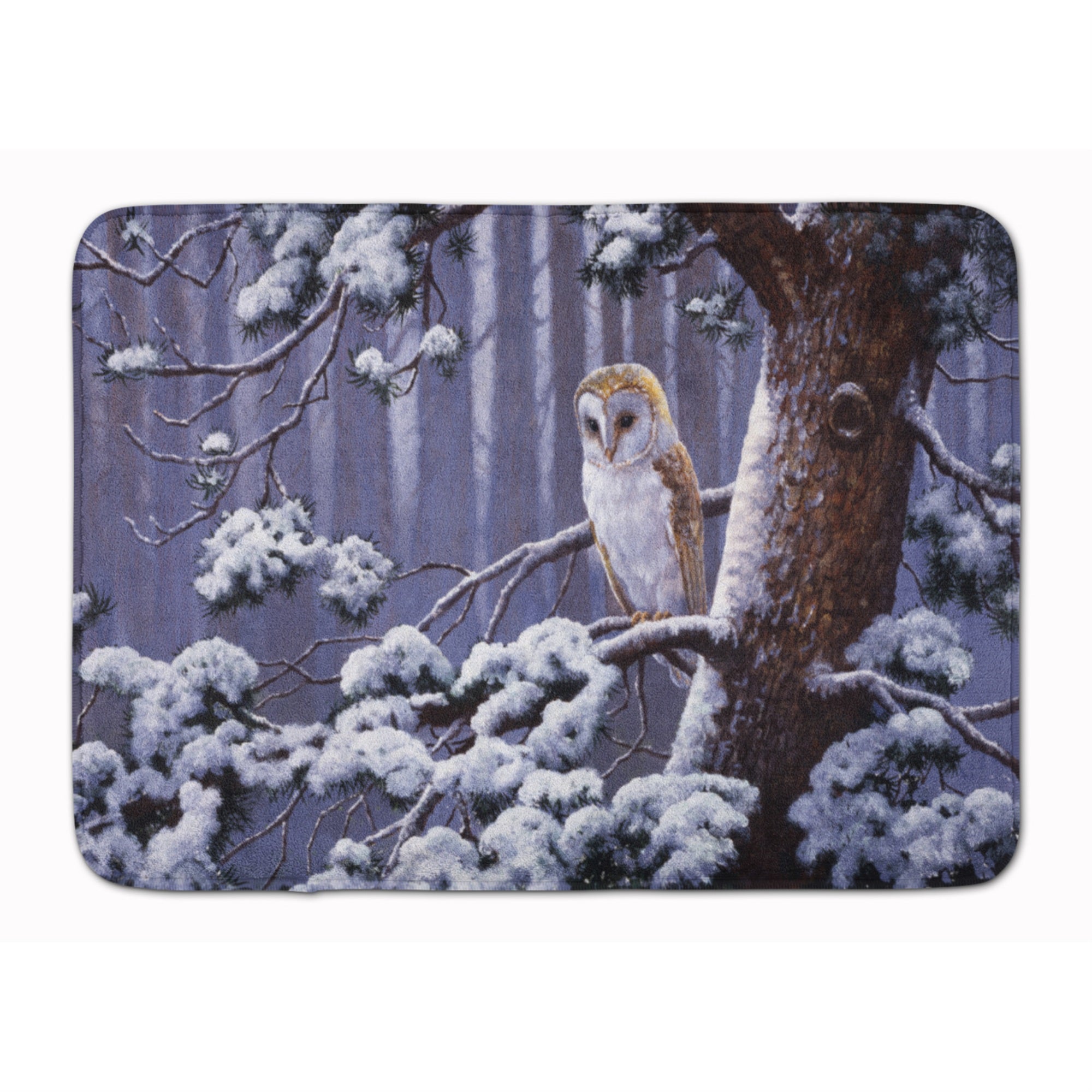 'Caroline'S Treasures Owl On A Tree Branch In The Snow, 19'''' X 27'''', Multicolor''
