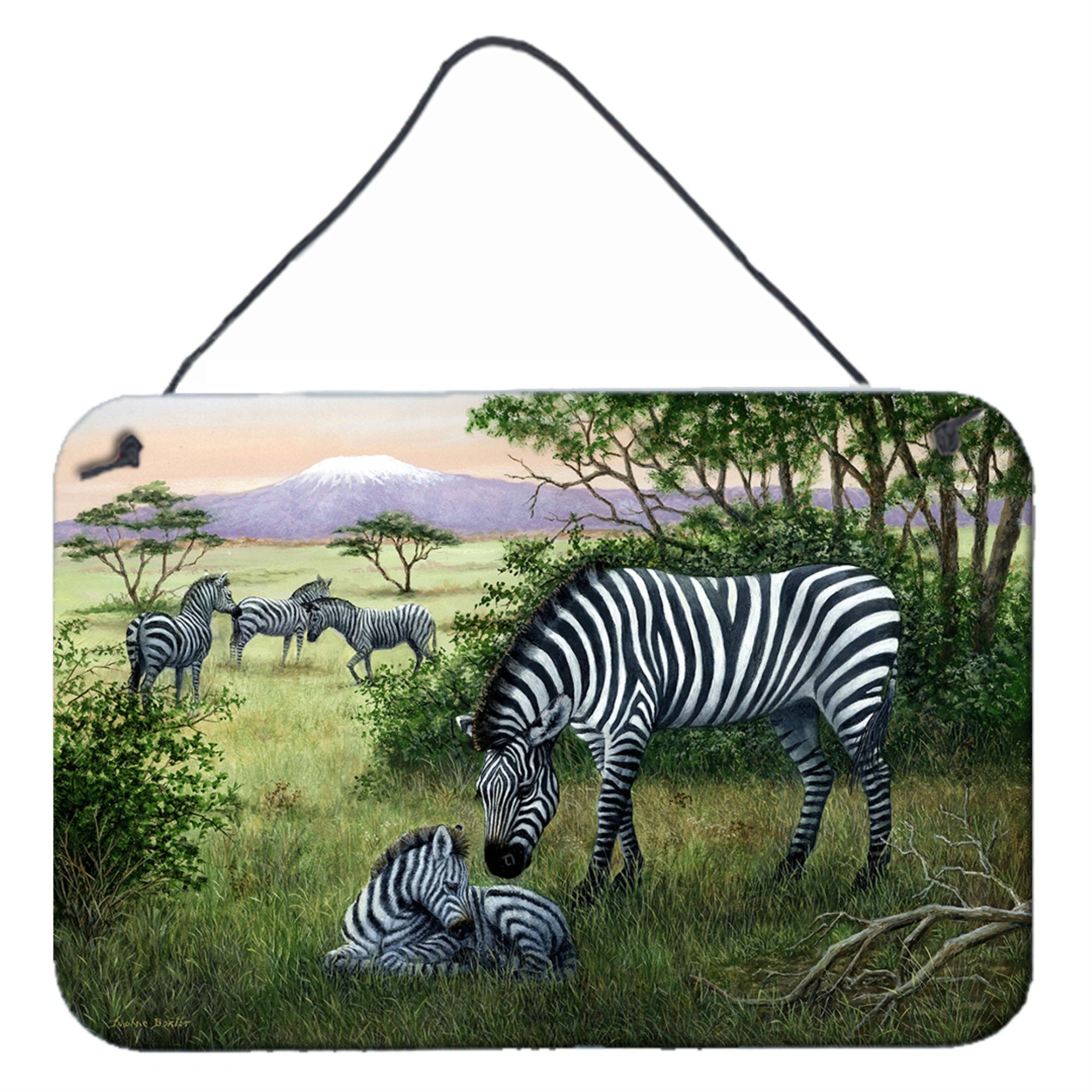 'Caroline'S Treasures Zebras In The Field With Baby Wall Or Door Hanging Prints Bdba0385Ds812, 8Hx12W, Multicolor''