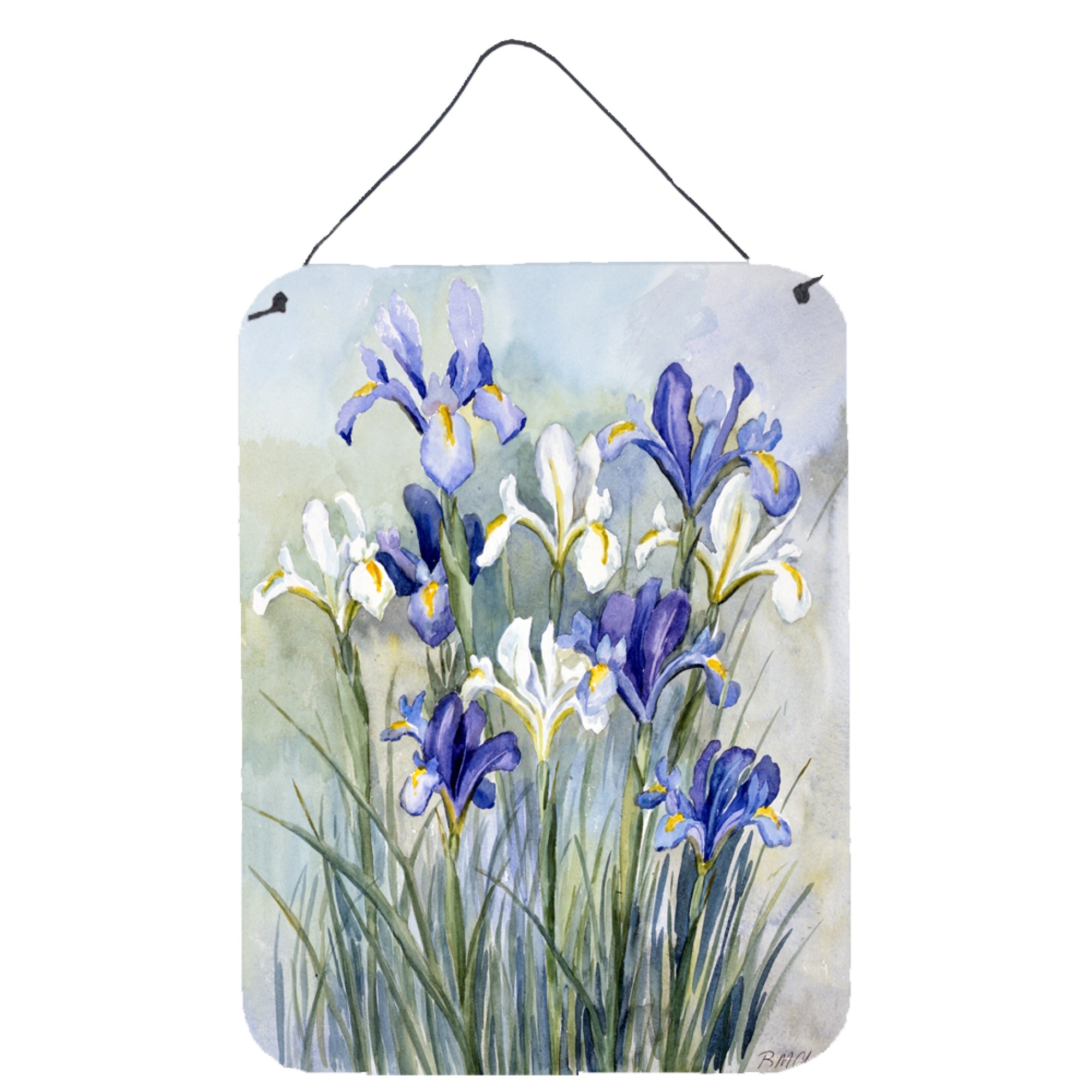 'Caroline'S Treasures Iris By Bettie Cheesman Wall Or Door Hanging Prints Cbc0033Ds1216, 16Hx12W, Multicolor''