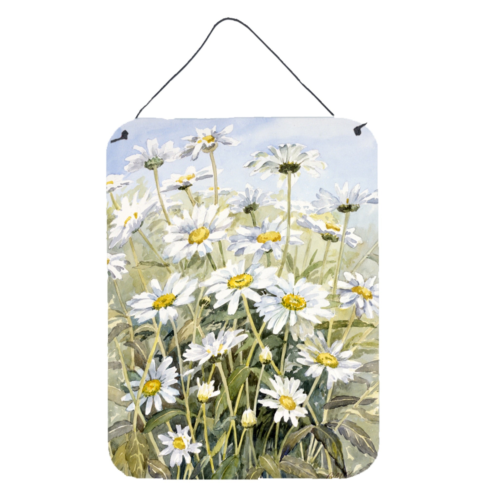 'Caroline'S Treasures Daisies By Bettie Cheesman Wall Or Door Hanging Prints Cbc0043Ds1216, 16Hx12W, Multicolor''