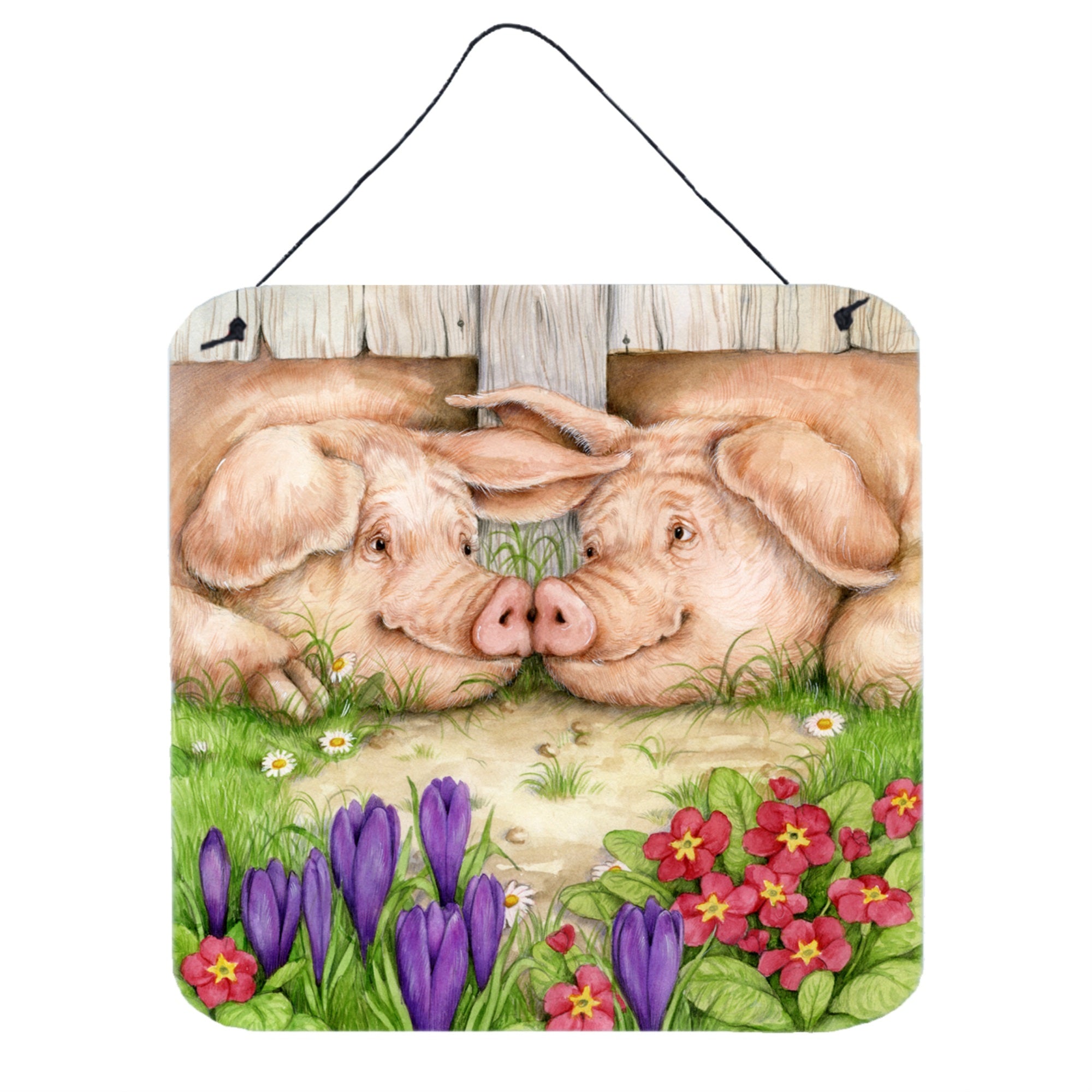 'Caroline'S Treasures Pigs Nose By Debbie Cook Wall Or Door Hanging Prints Cdco0350Ds66, 6Hx6W, Multicolor''