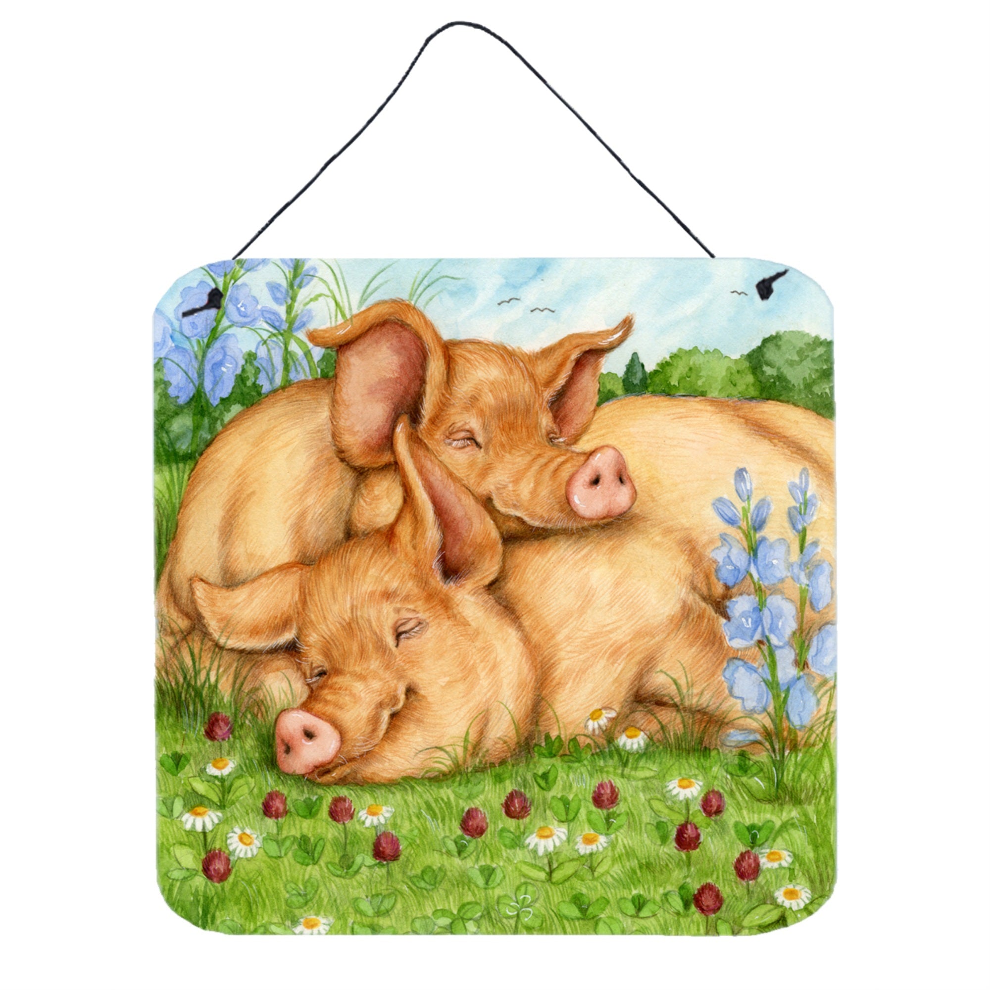 'Caroline'S Treasures Pigs Tamworths In Clover Wall Or Door Hanging Prints Cdco0358Ds66, 6Hx6W, Multicolor''