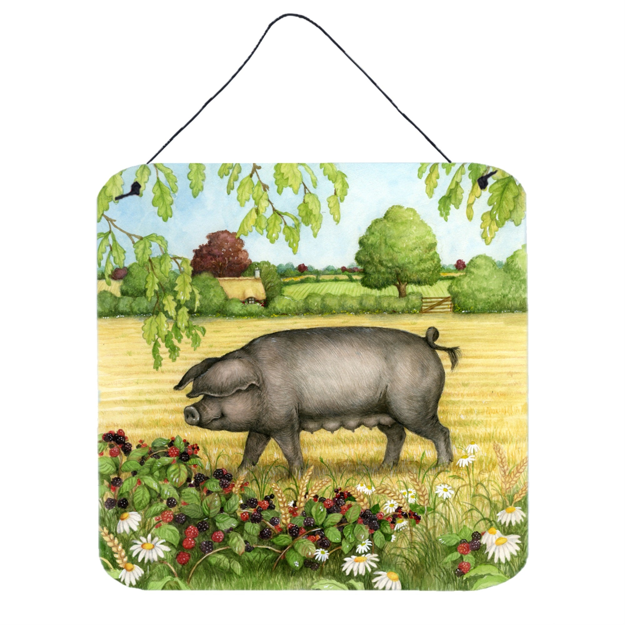 'Caroline'S Treasures Pigs Bramble In Berries Wall Or Door Hanging Prints Cdco0376Ds66, 6Hx6W, Multicolor''