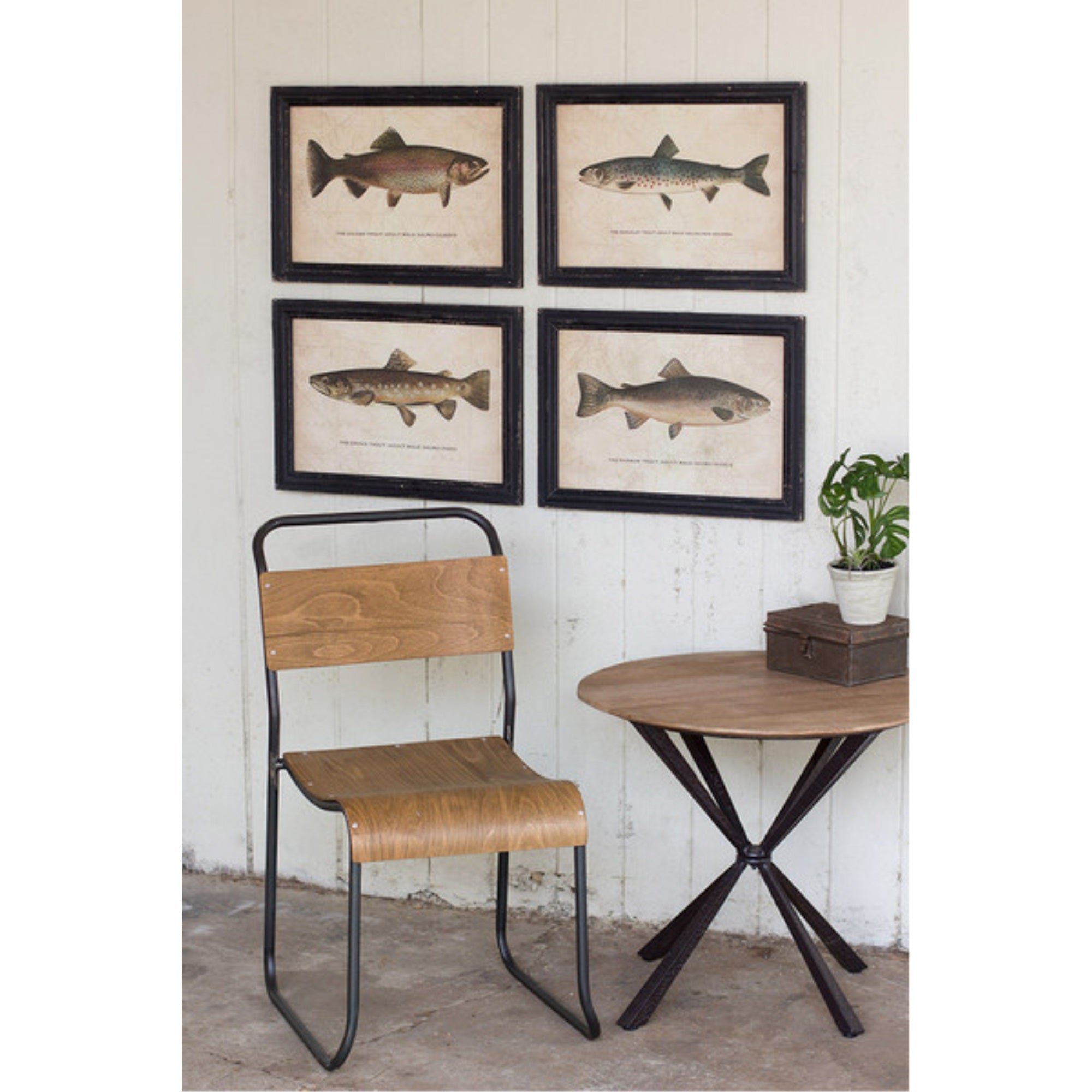 Set Of Four Trout Prints Under Glass