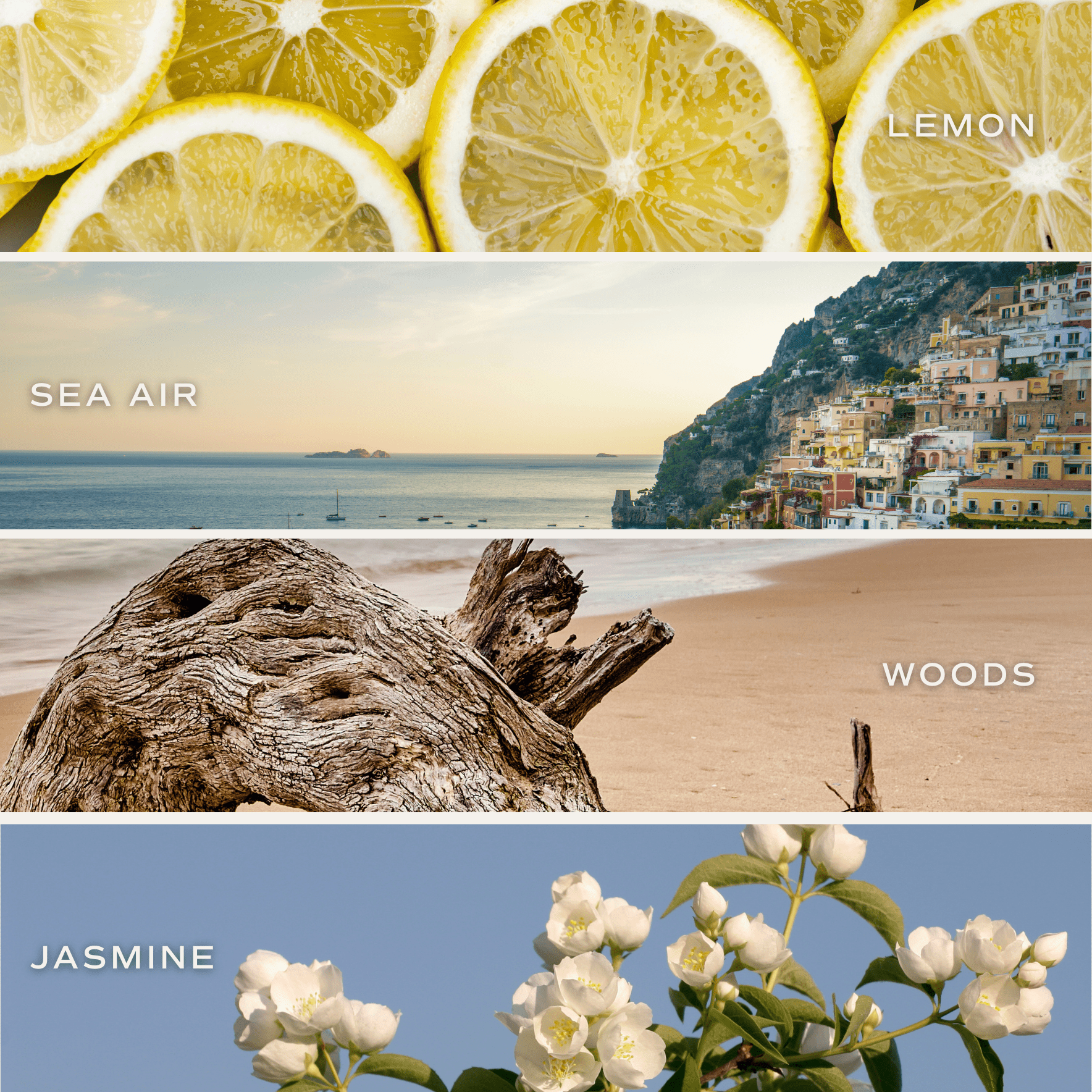 Coastal Lemon Soy Candle - Clear Jar - 9 oz