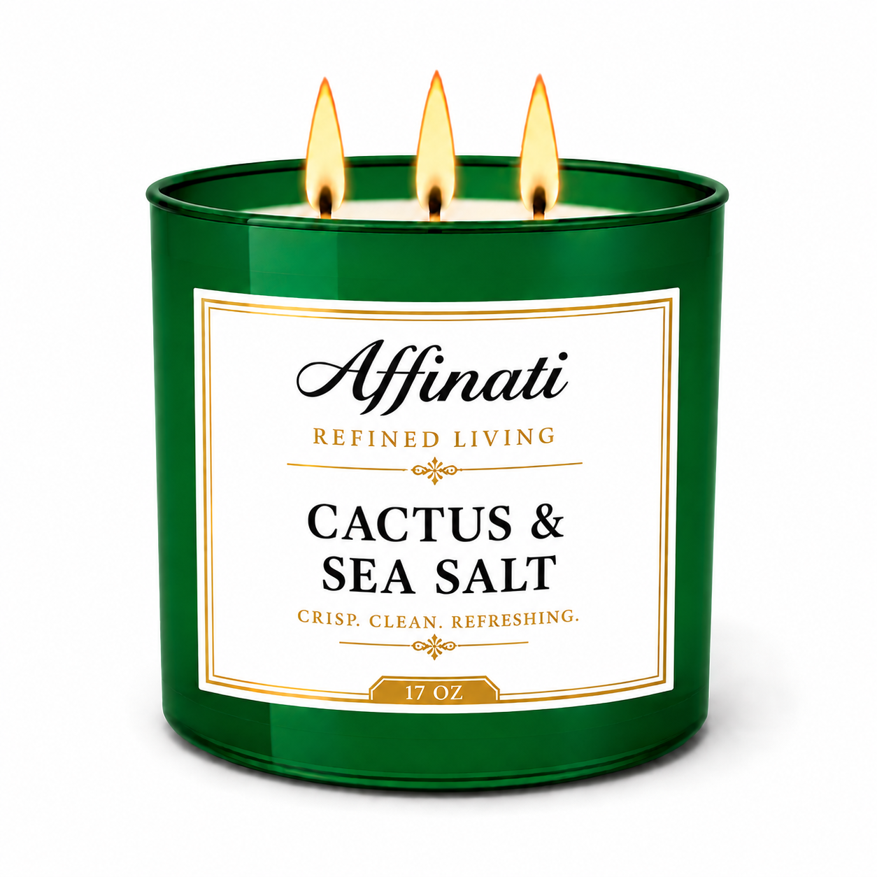 Cactus & Sea Salt 3-Wick Candle
