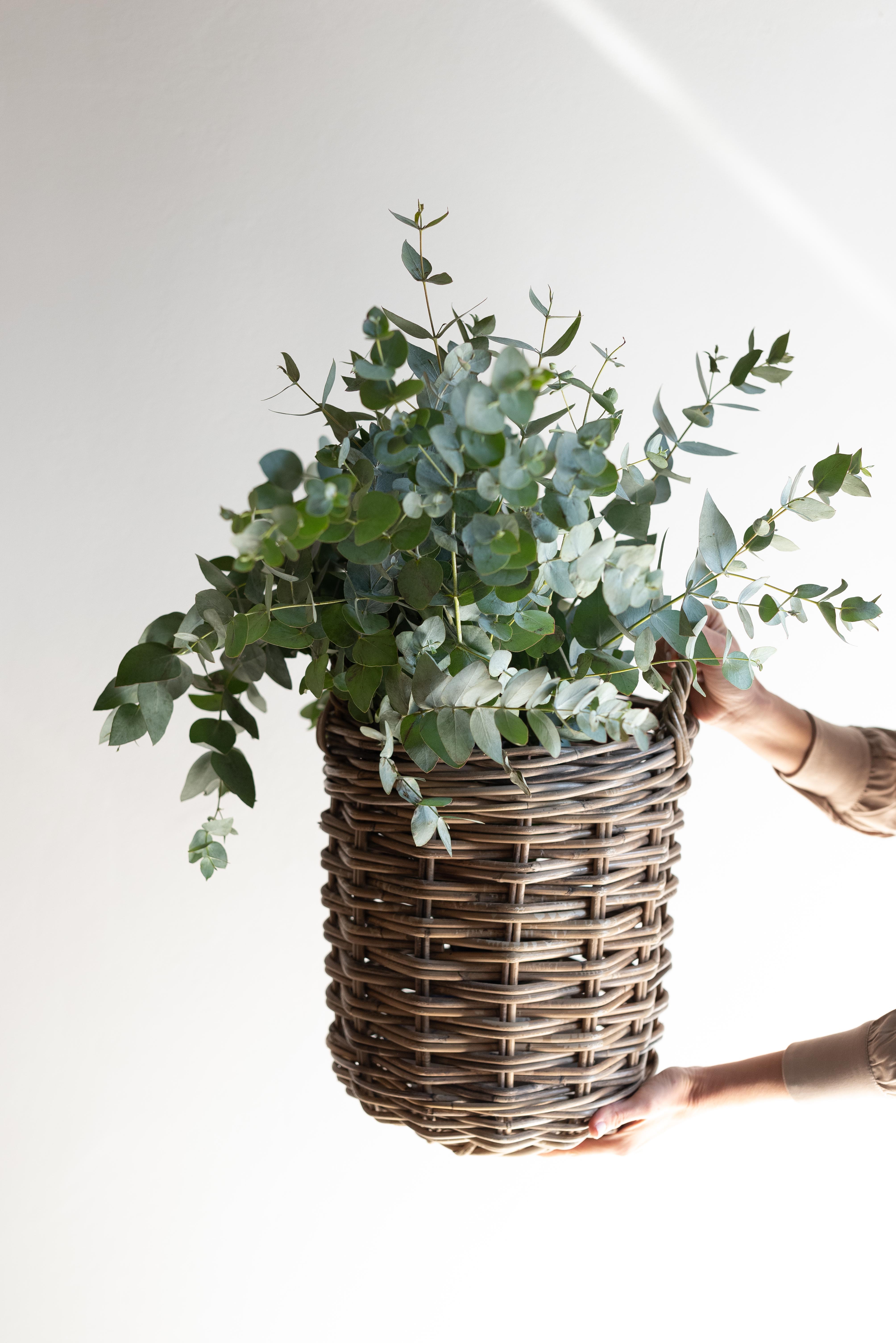 Rattan Round Basket