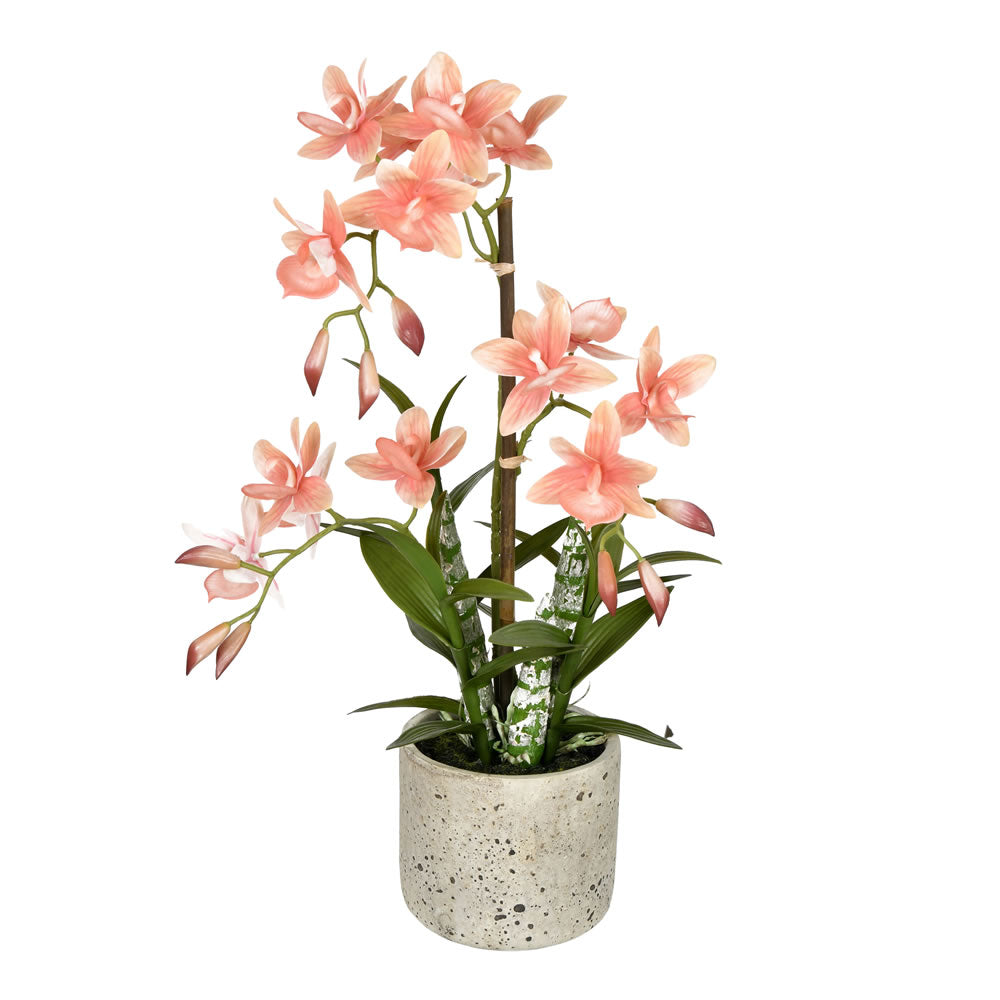Vickerman 19'' Orange Cycnoches In Pot - Fn190602