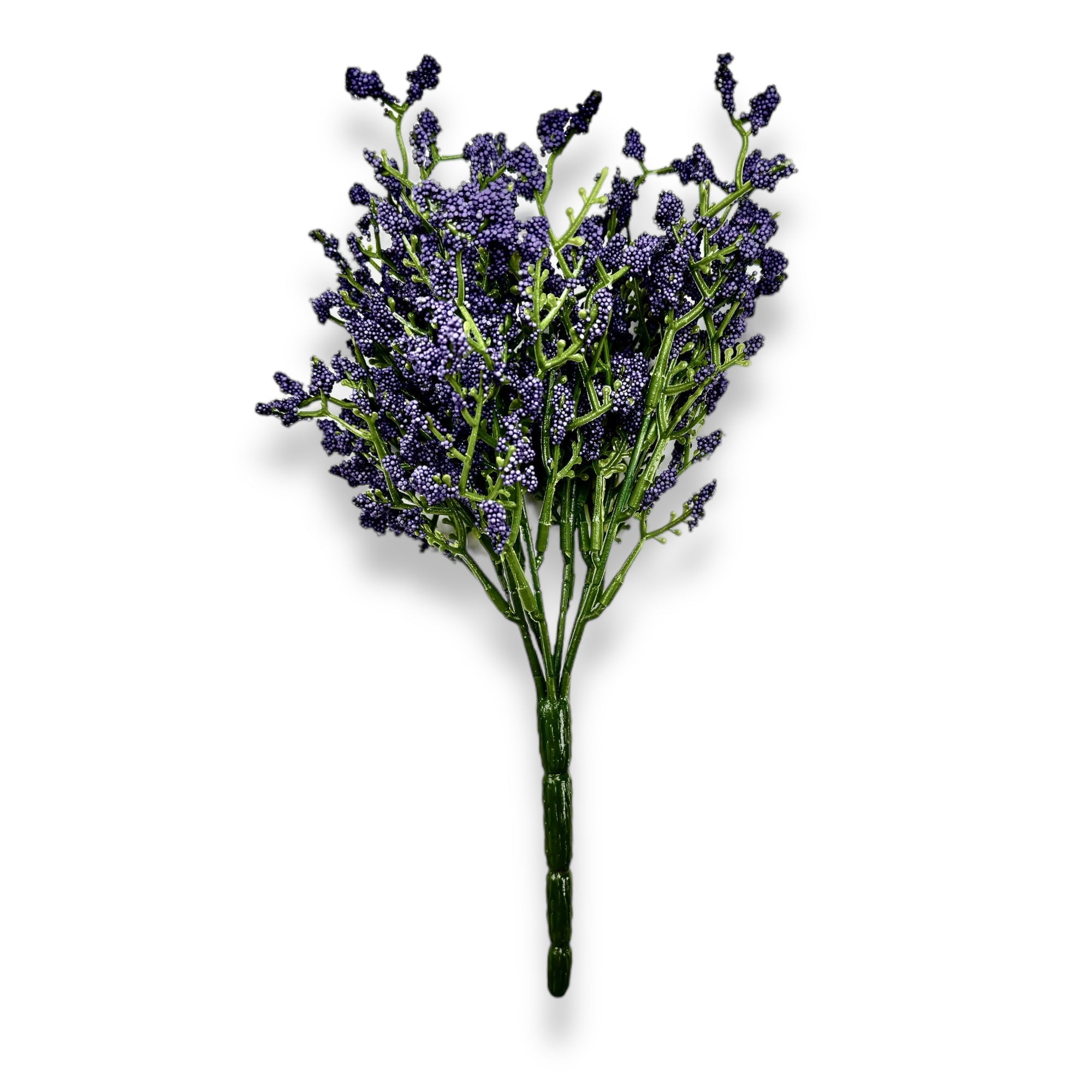 Purple Array Astilbe Bush