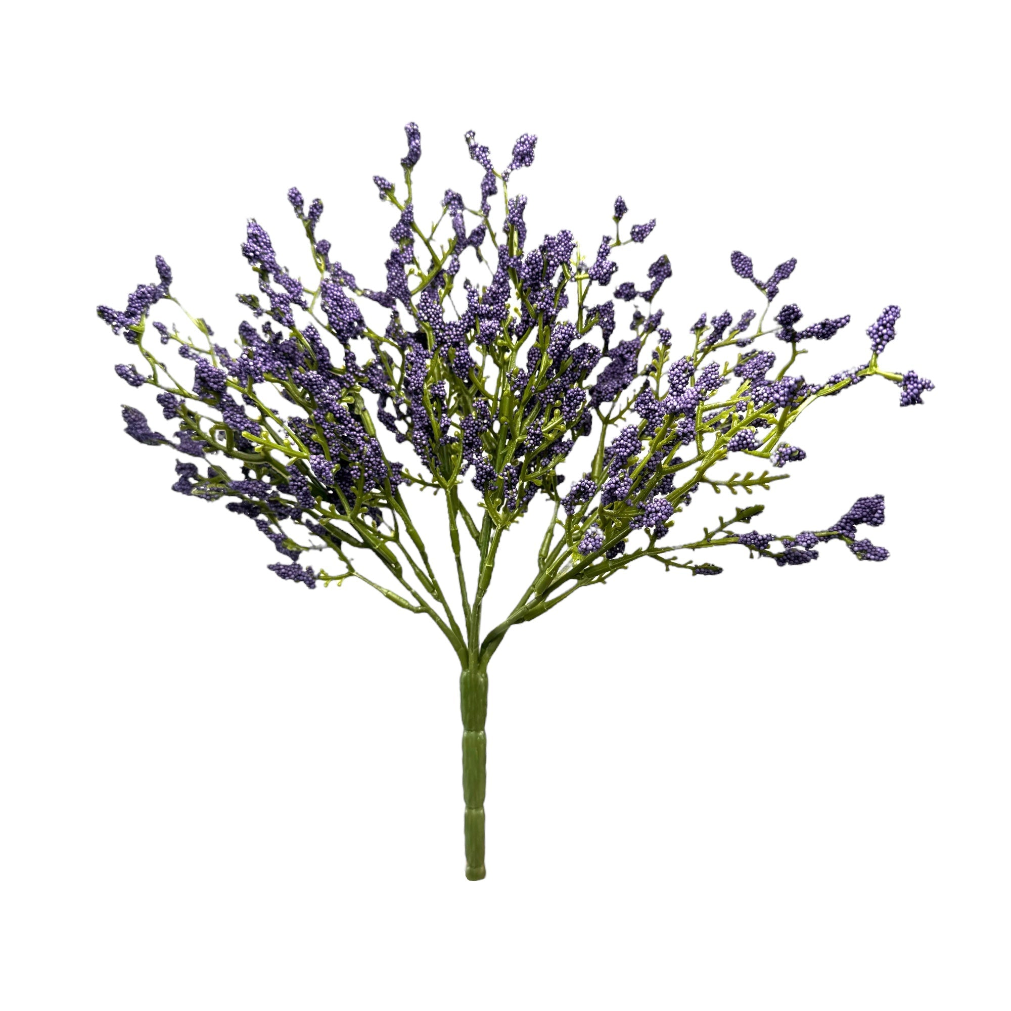 Purple Array Astilbe Bush