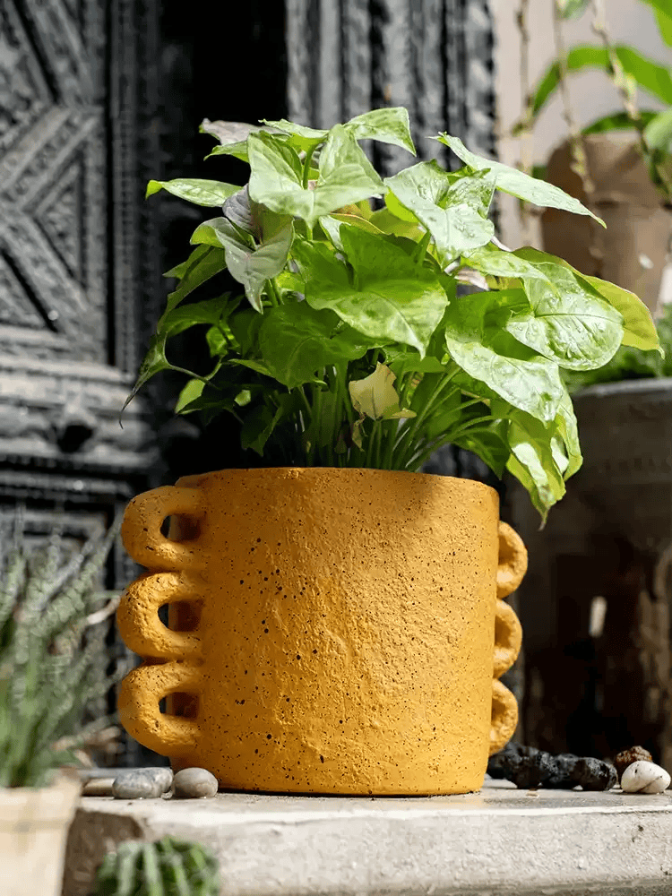 Artisan Loop Handle Cement Planter