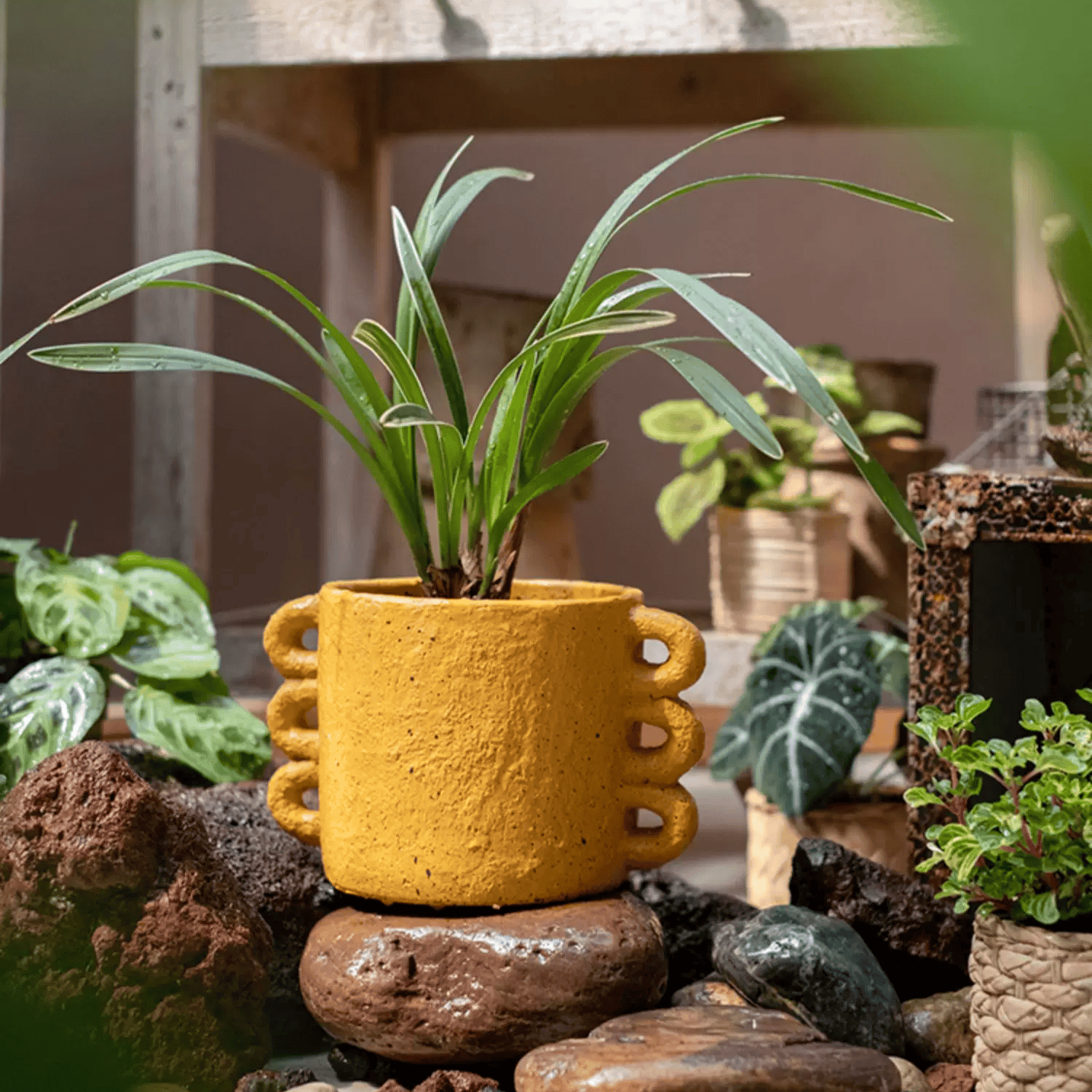 Artisan Loop Handle Cement Planter