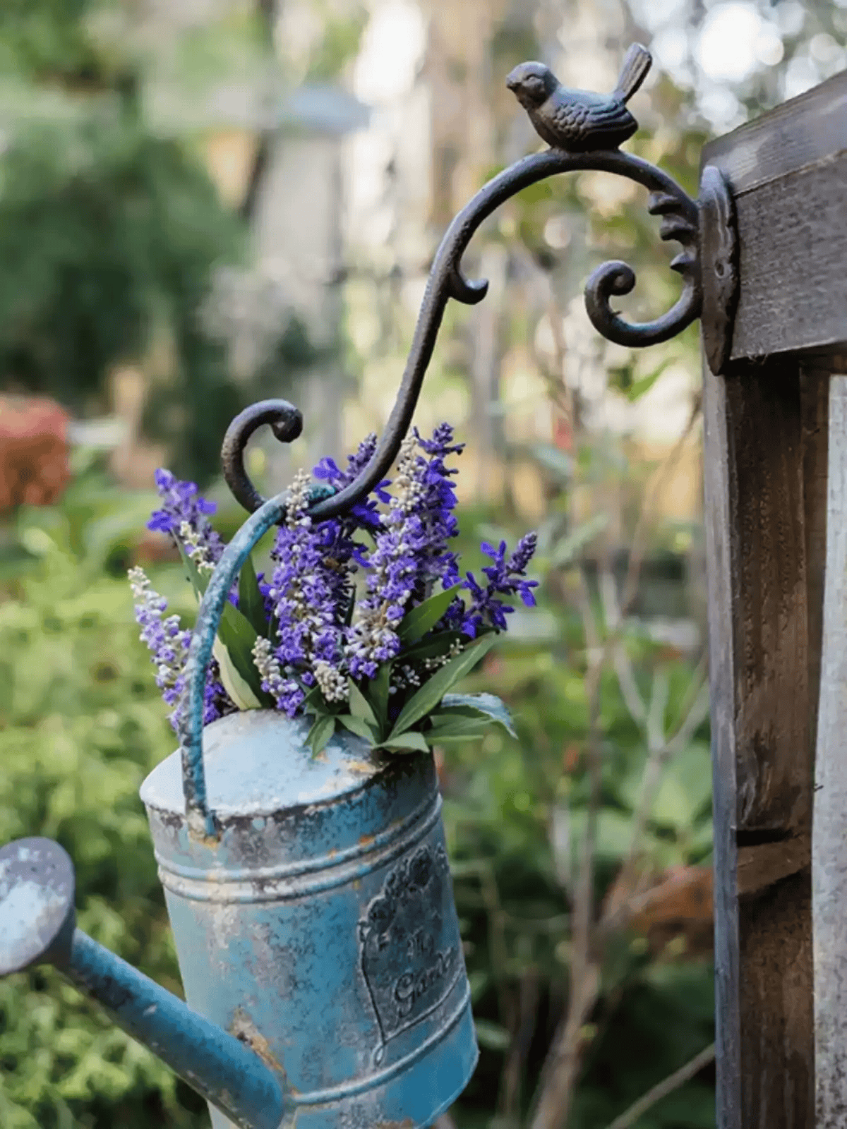 Rustic Cast Iron Bird Wall Hook