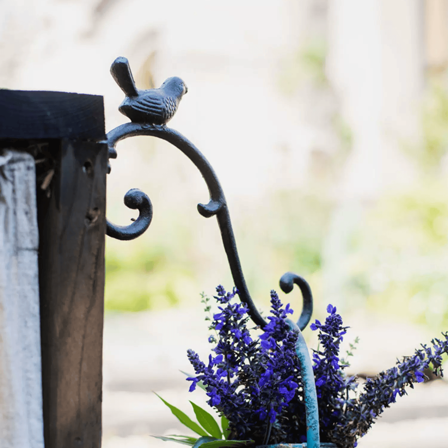 Rustic Cast Iron Bird Wall Hook