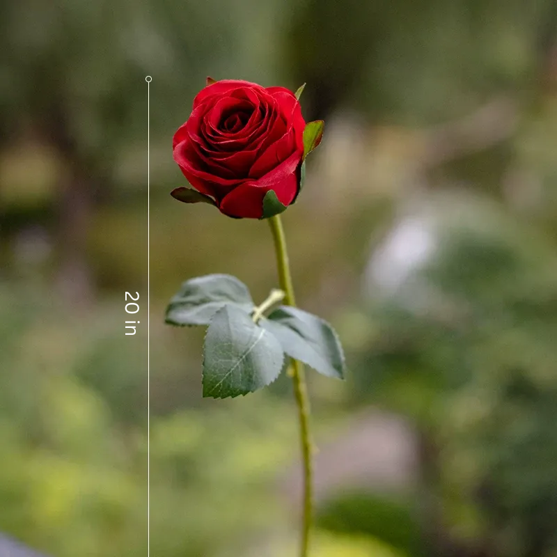Classic Romance Rose Stem – 20"