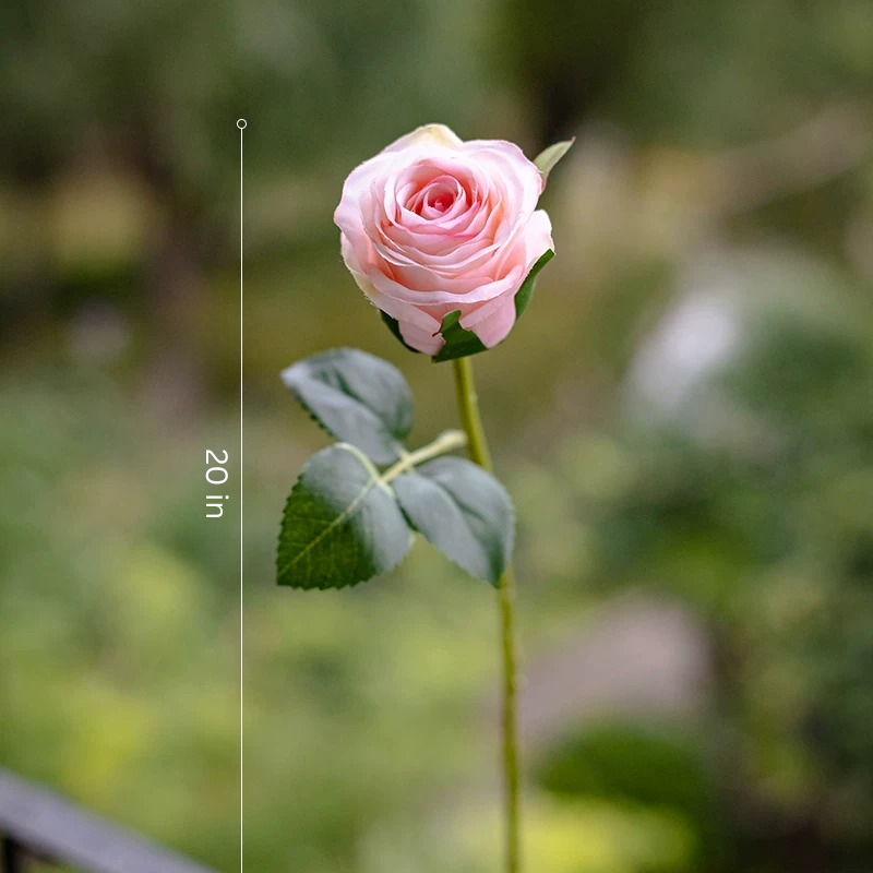Classic Romance Rose Stem – 20"
