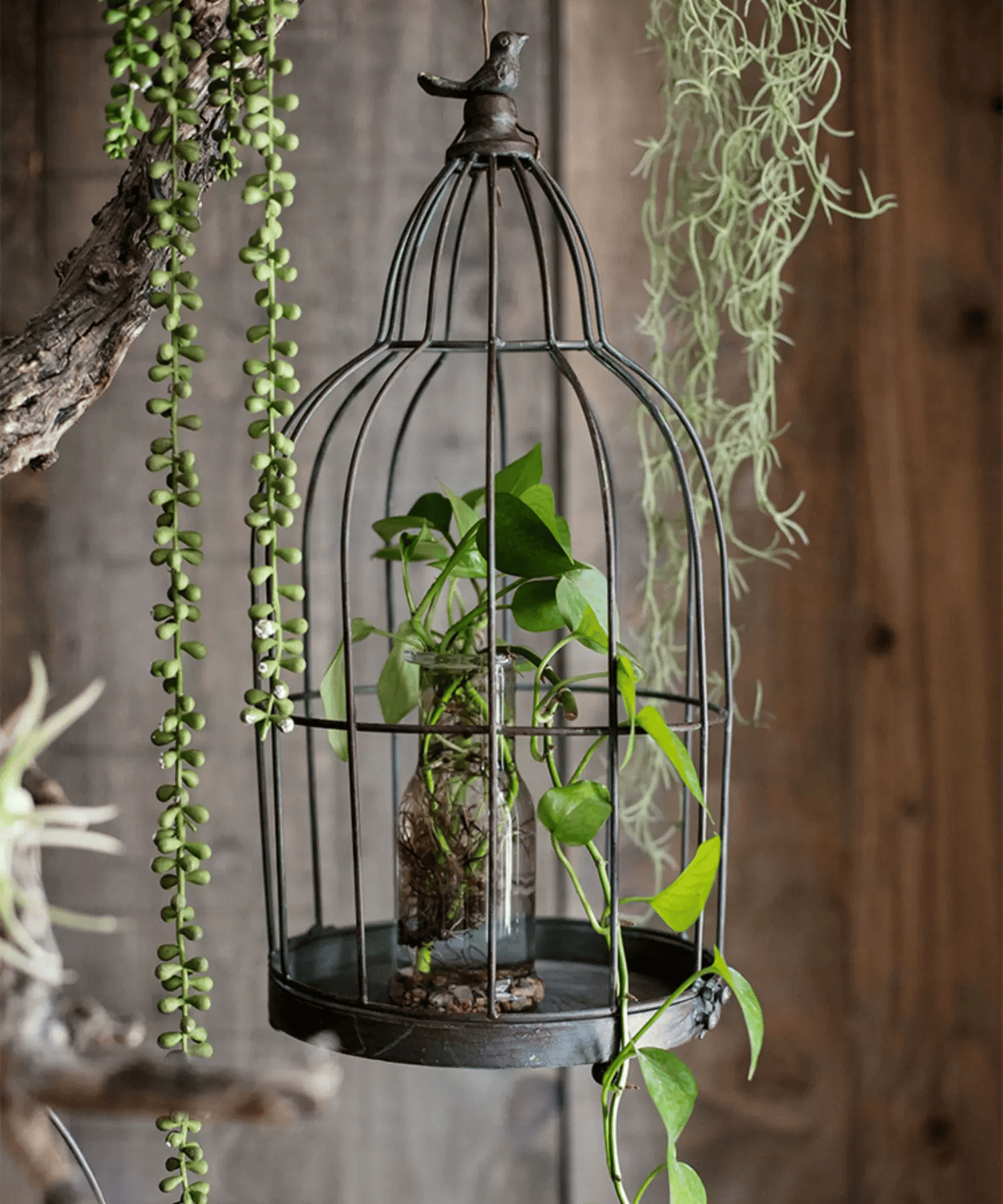 Vintage Garden Birdcage Display