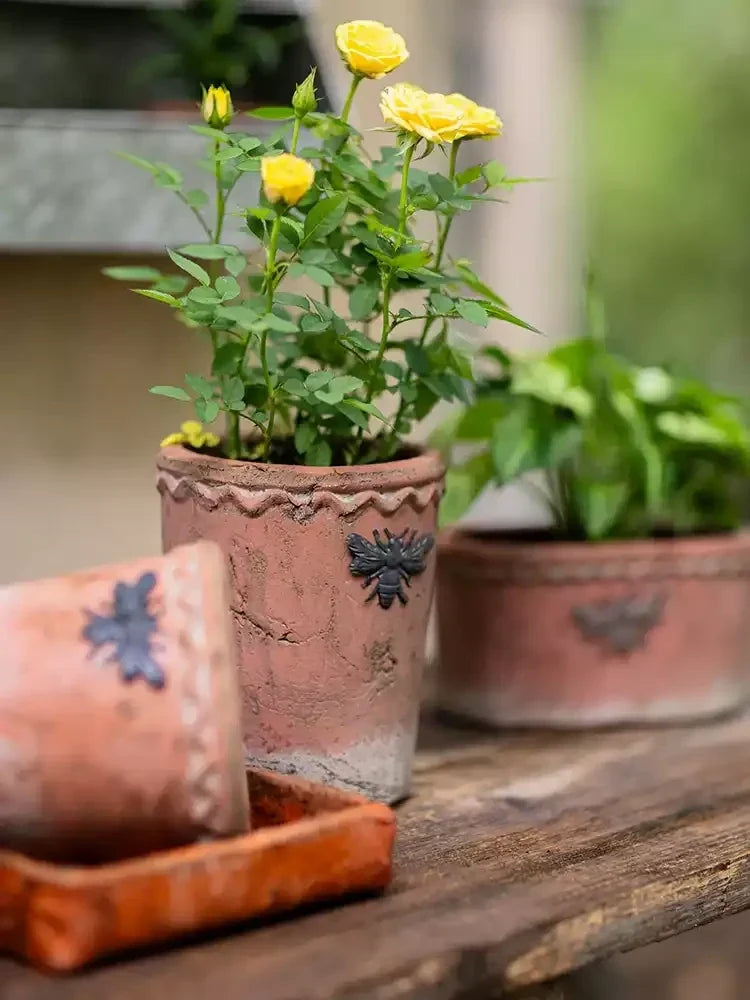 Vintage Bee Terracotta Planter